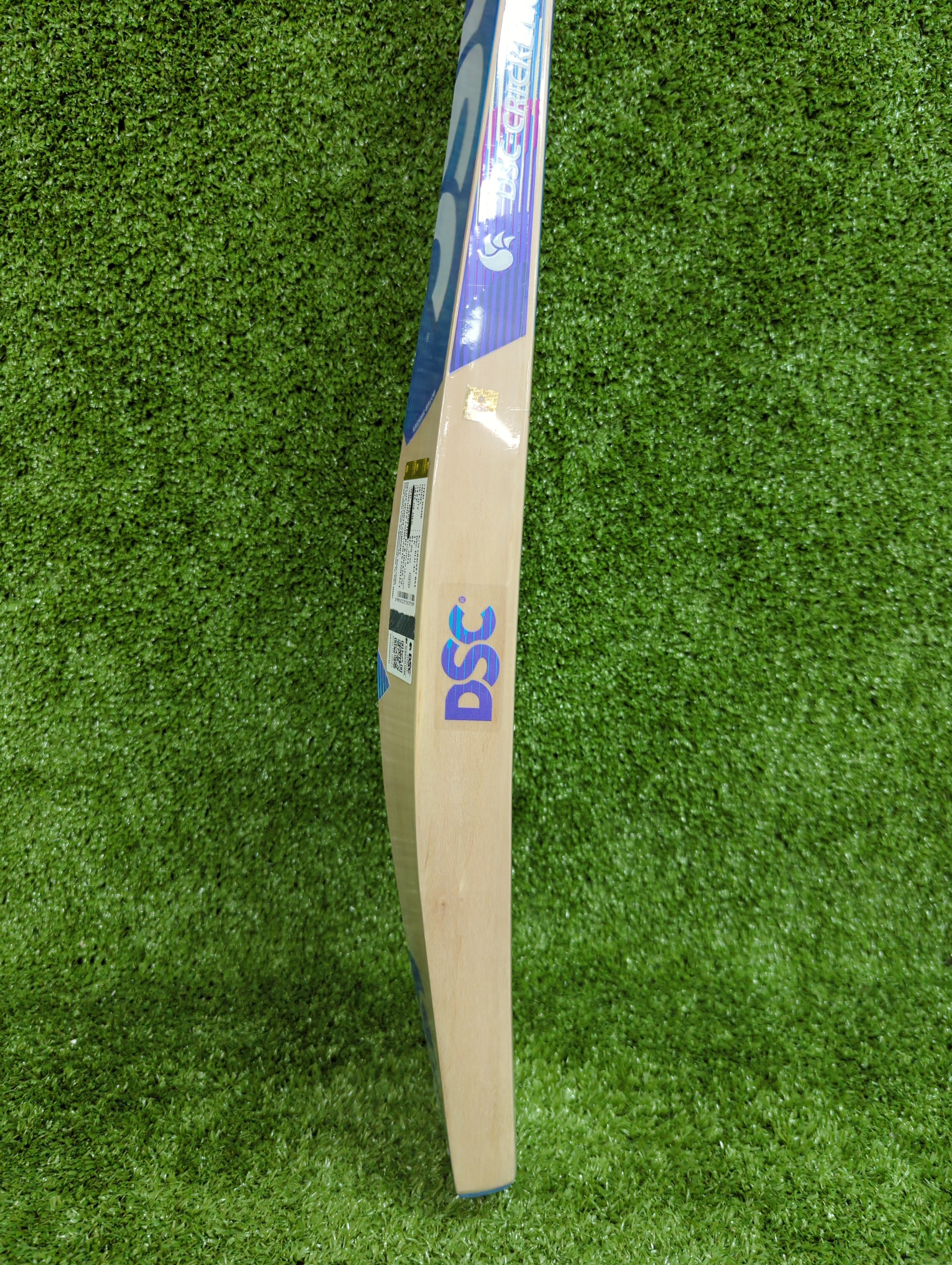 DSC Blu 44 Kashmir Willow Cricket Bat