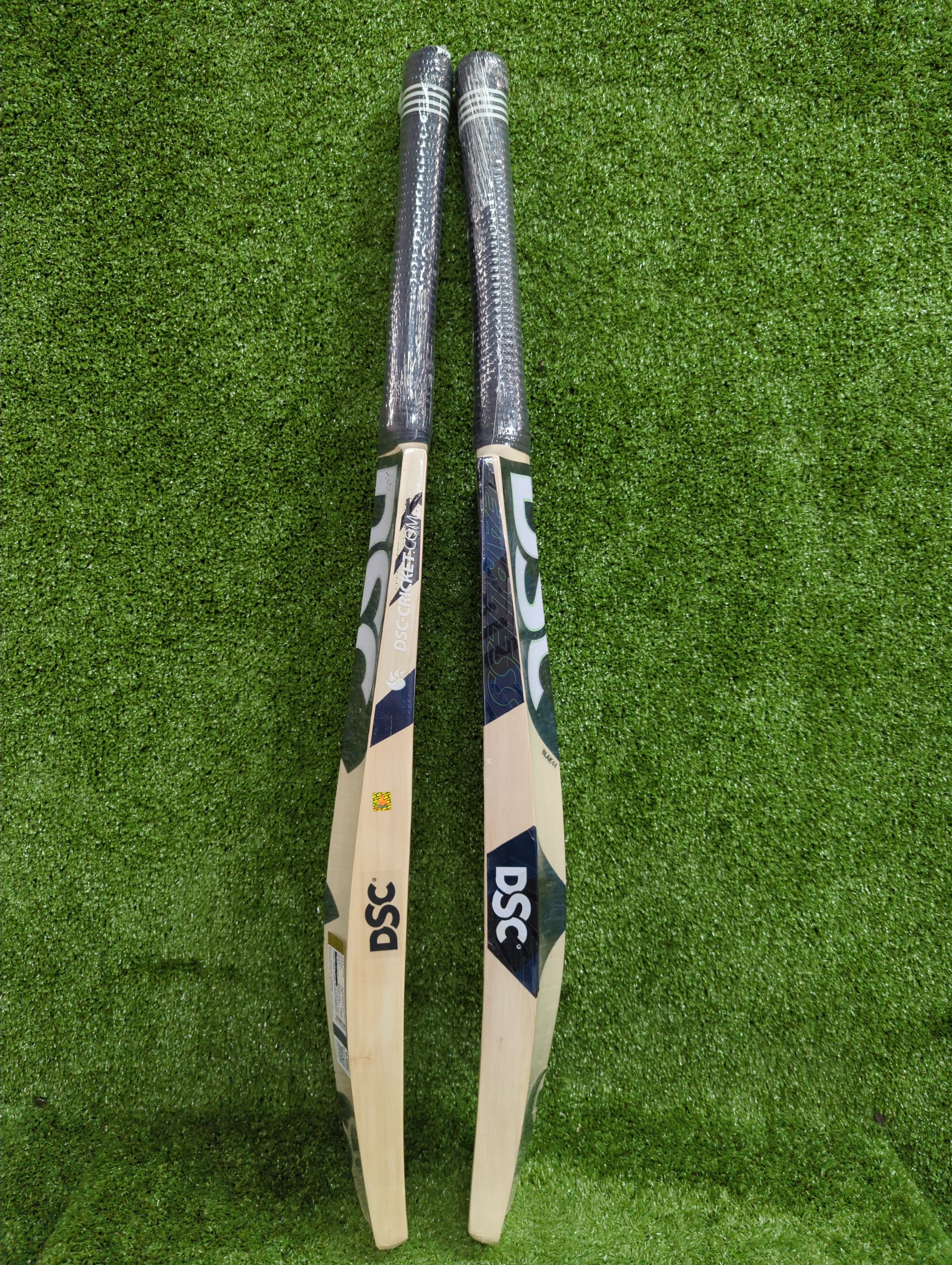 DSC BLAK 44 Adult Kashmir Willow Cricket Bat