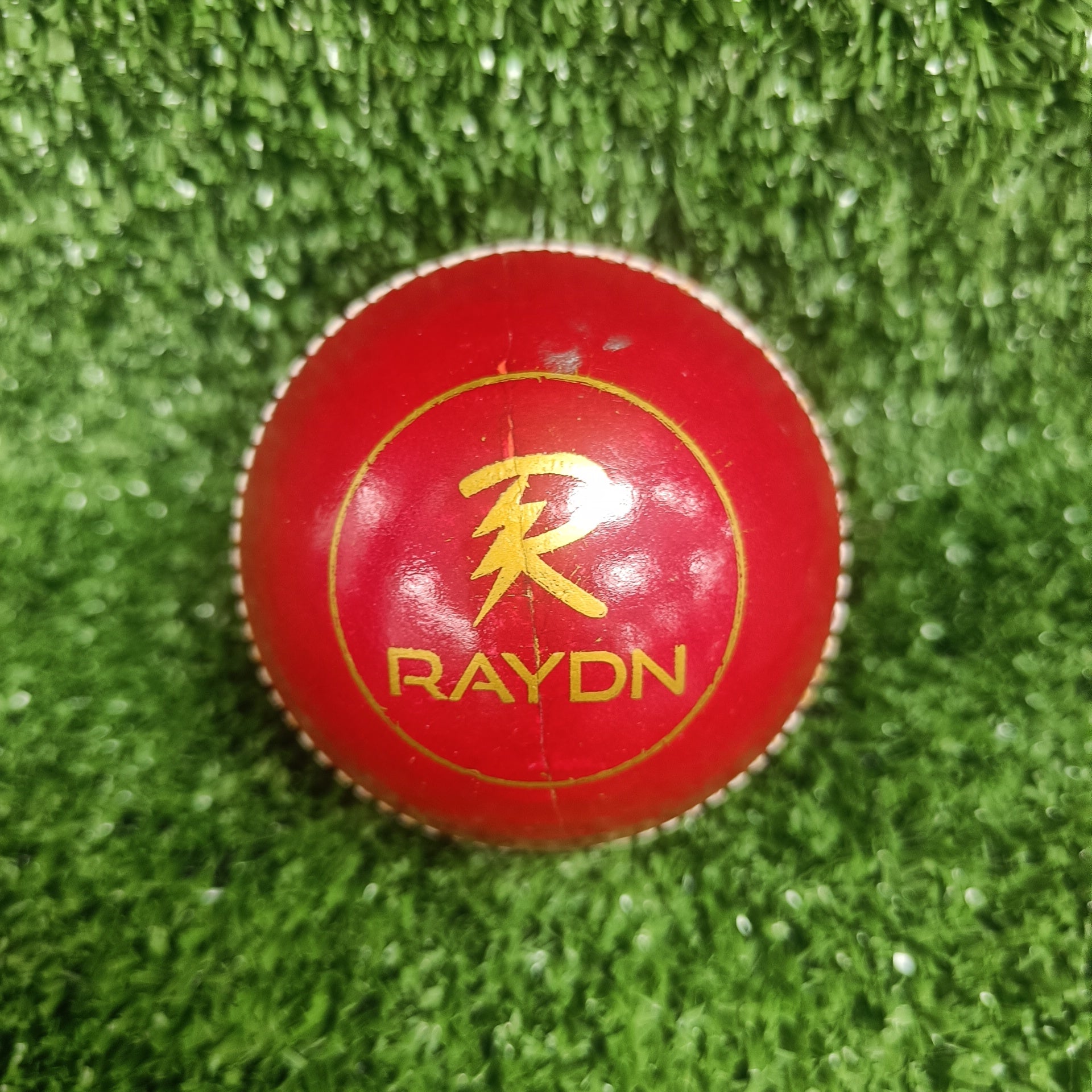 Raydn Test Red Leather Cricket Ball