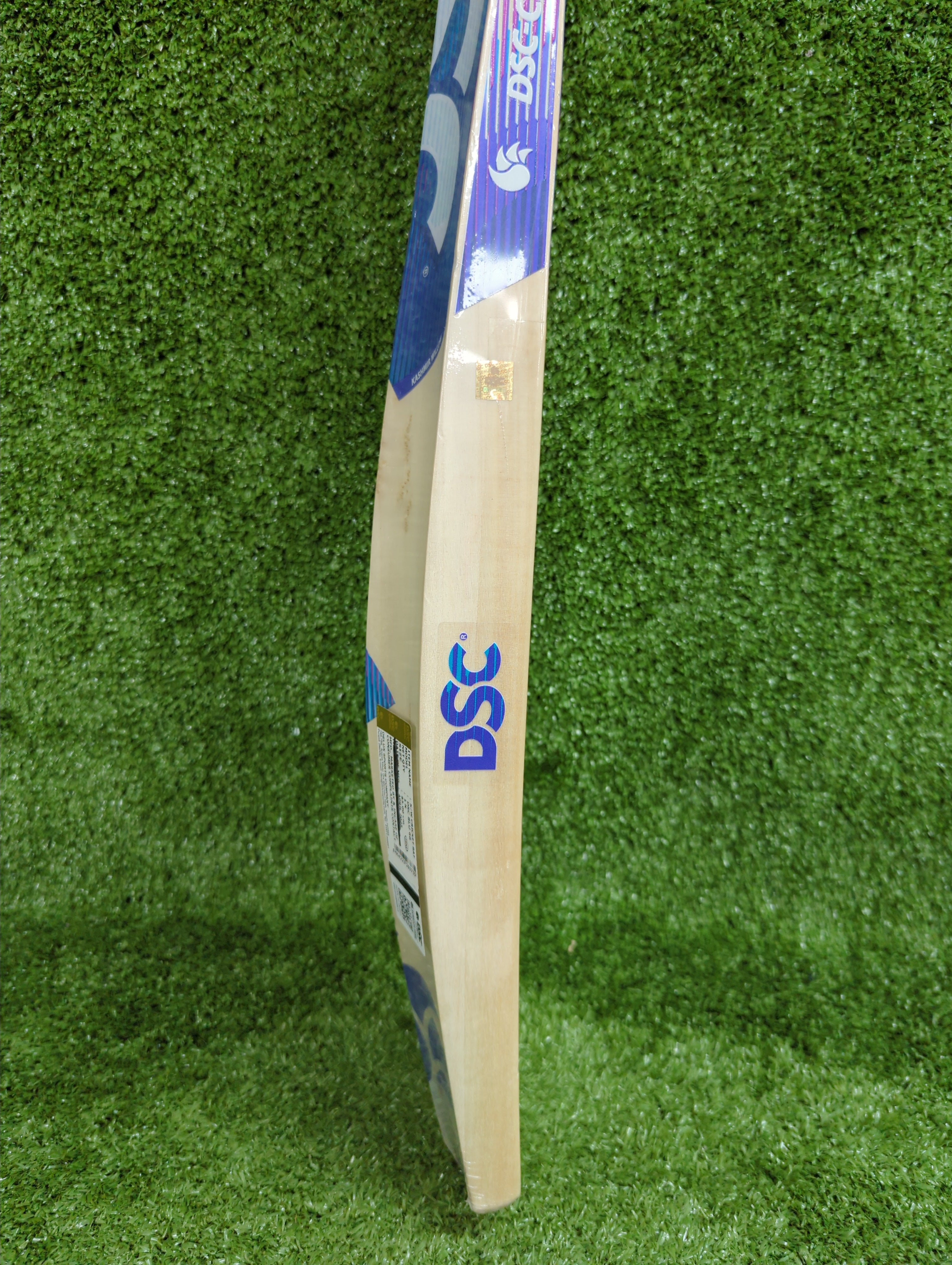 DSC Blu 66 Kashmir Willow Cricket Bat