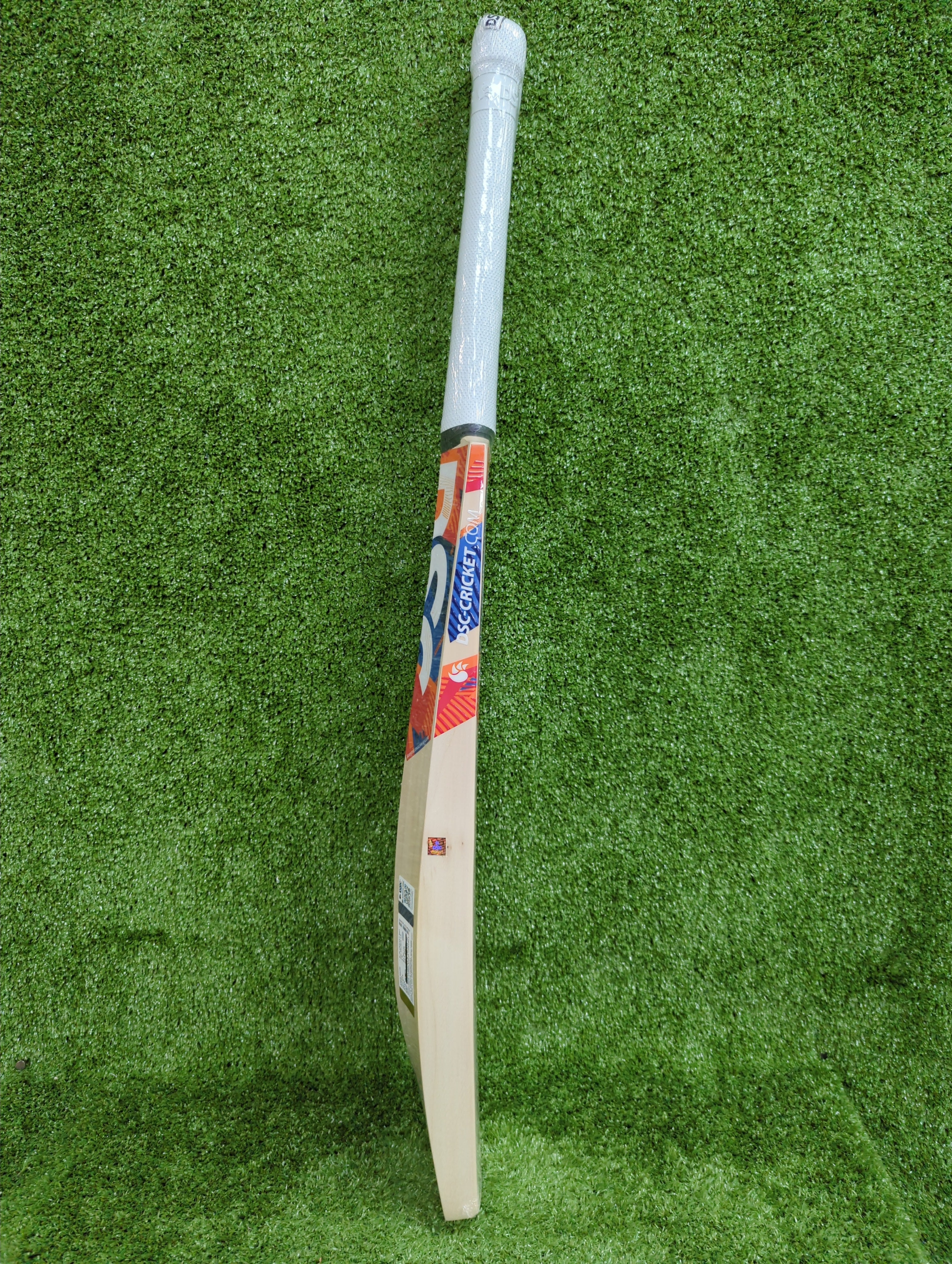 DSC Krunch 1.0 English Willow Cricket Bat