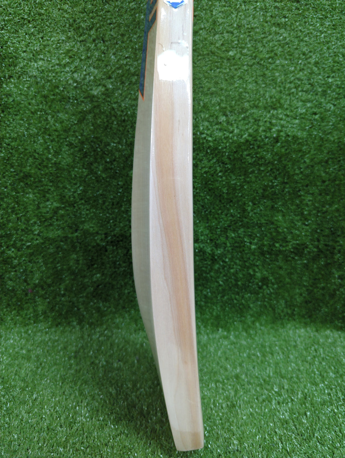 Somi MSD Punch English Willow Cricket Bat Somi