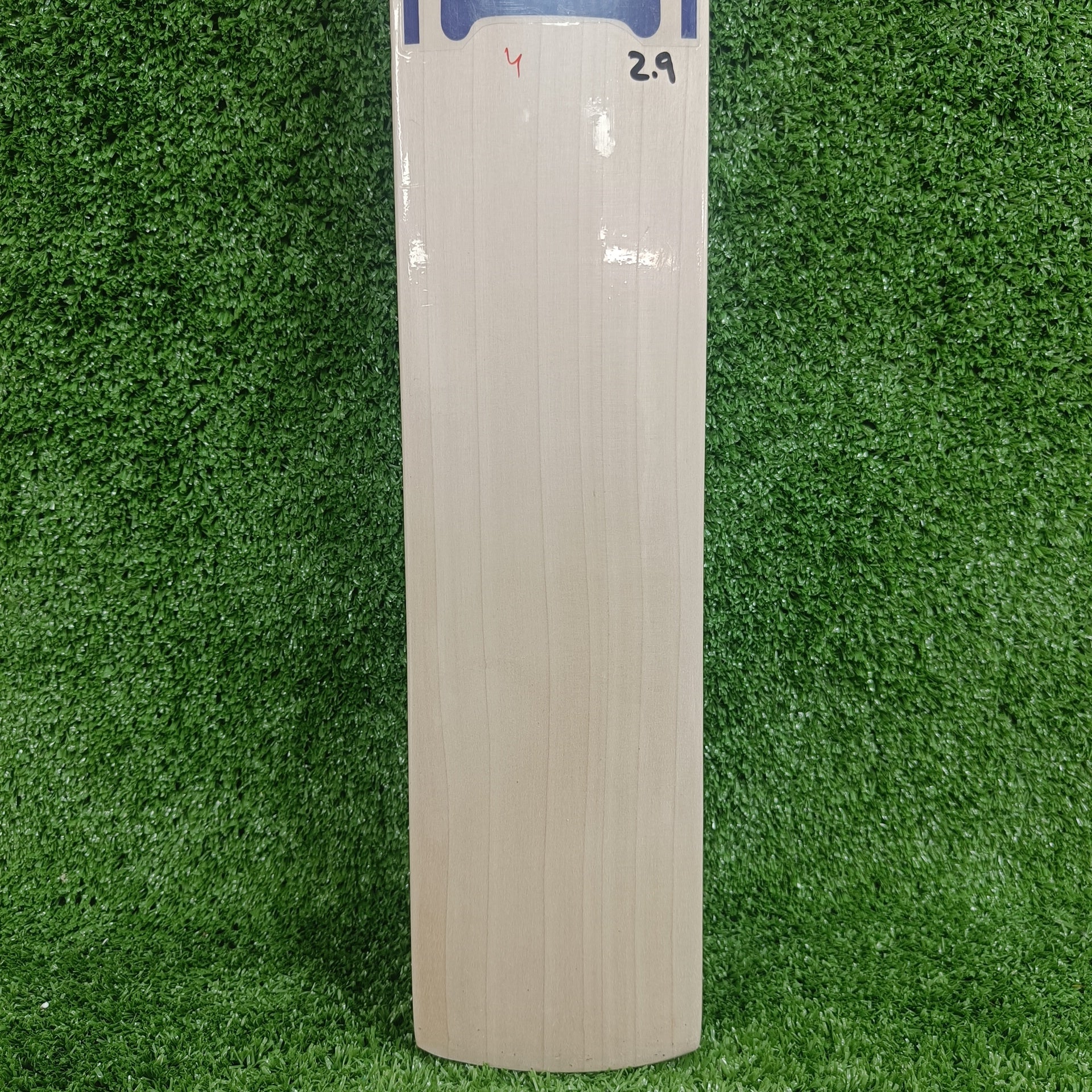 BAS MSD Legend English Willow Cricket Bat