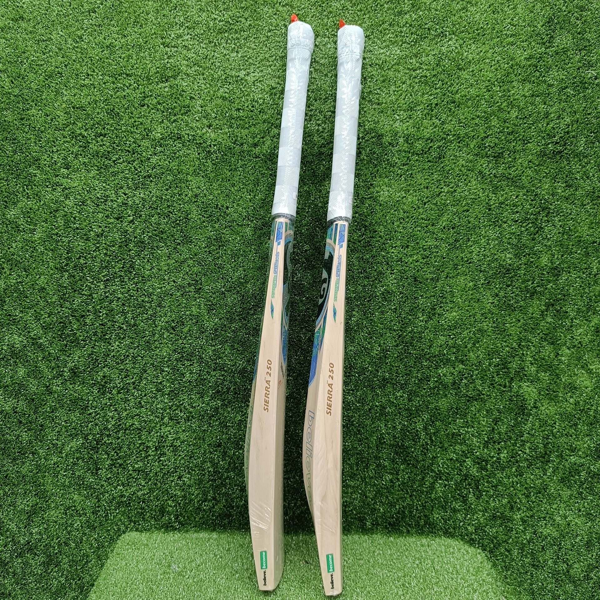 SG Sierra 250 English Willow Cricket Bat