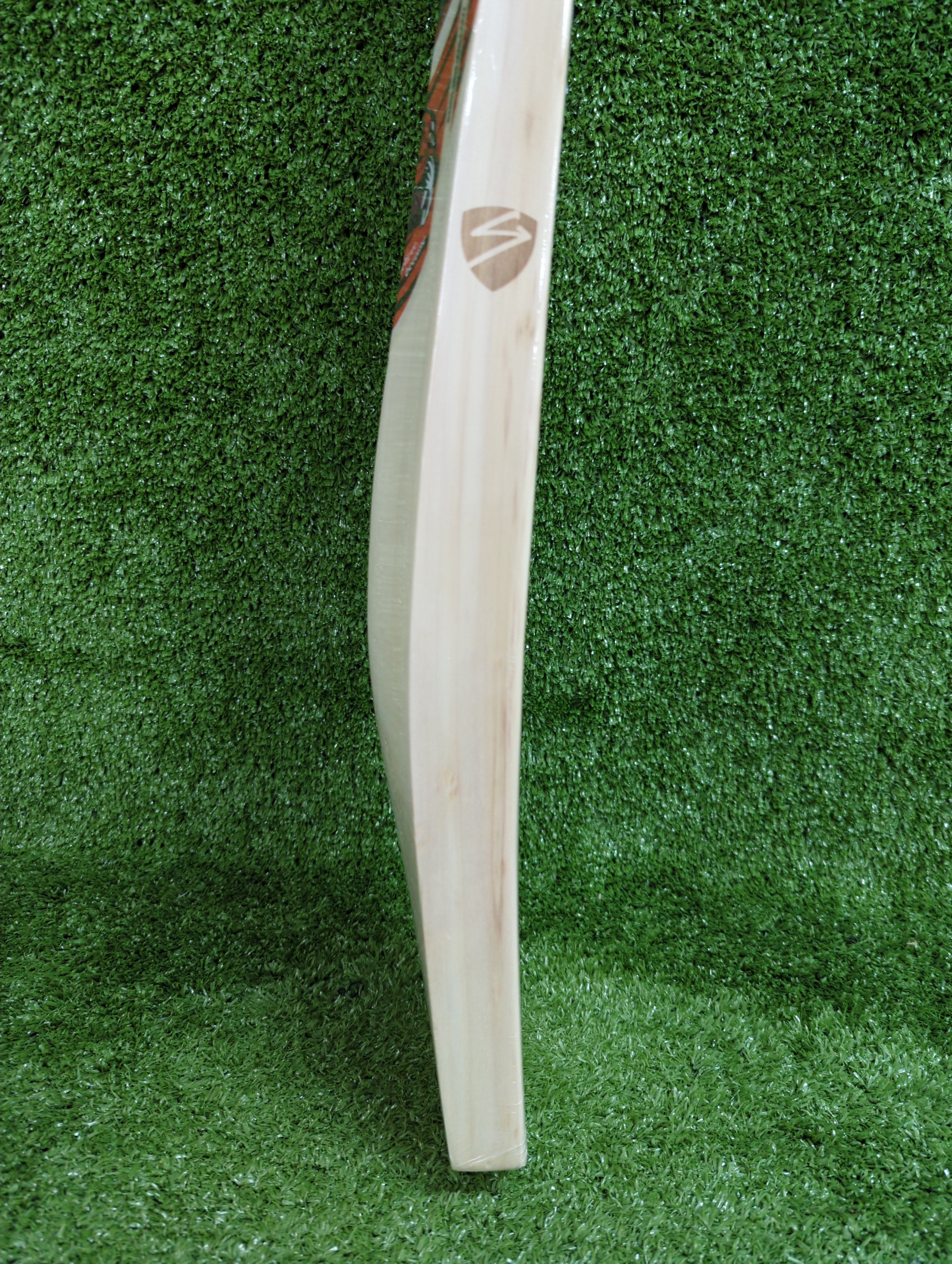 SG Roar English Willow Cricket Bat