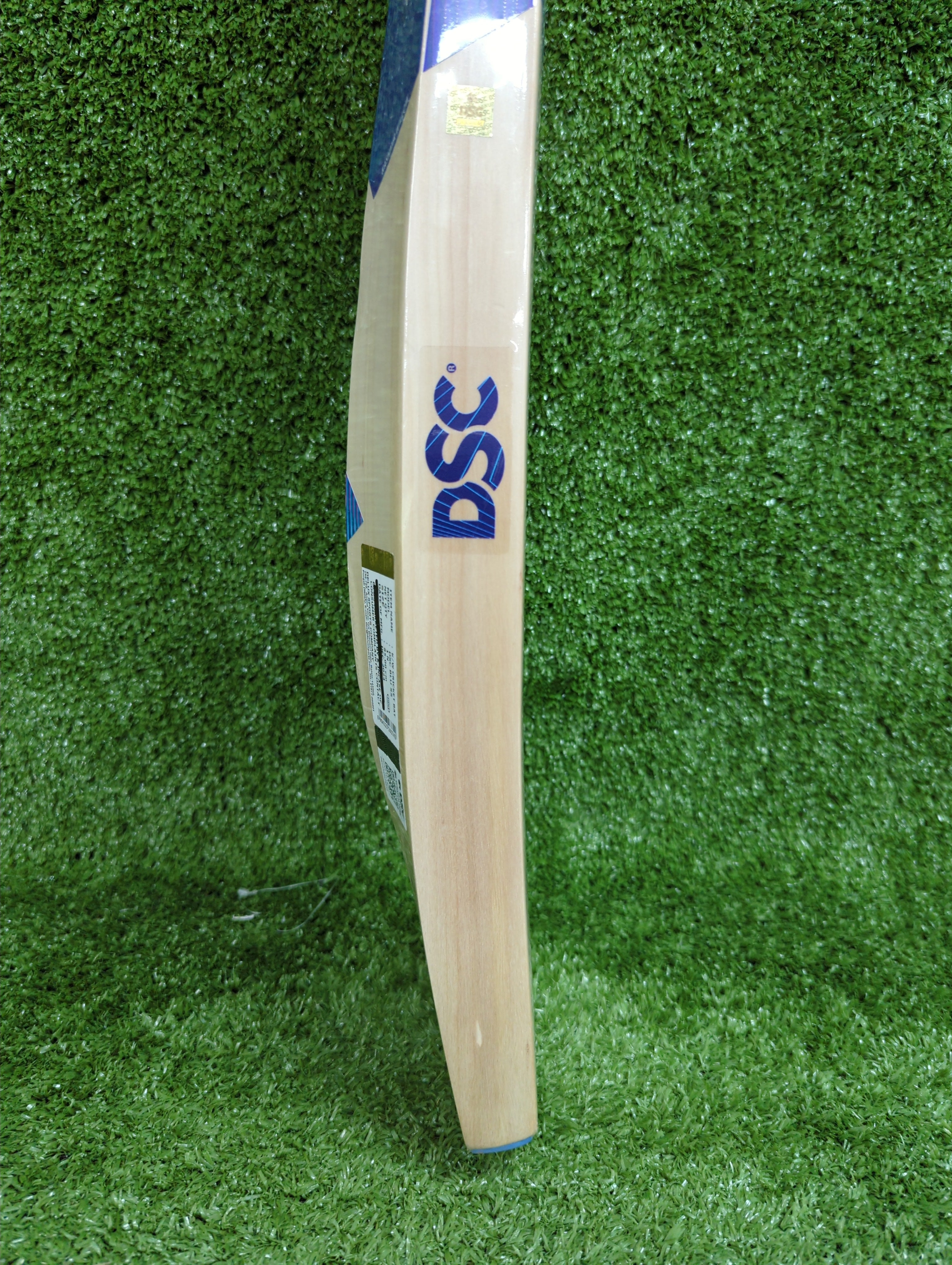 DSC Blu 55 Kashmir Willow Cricket Bat