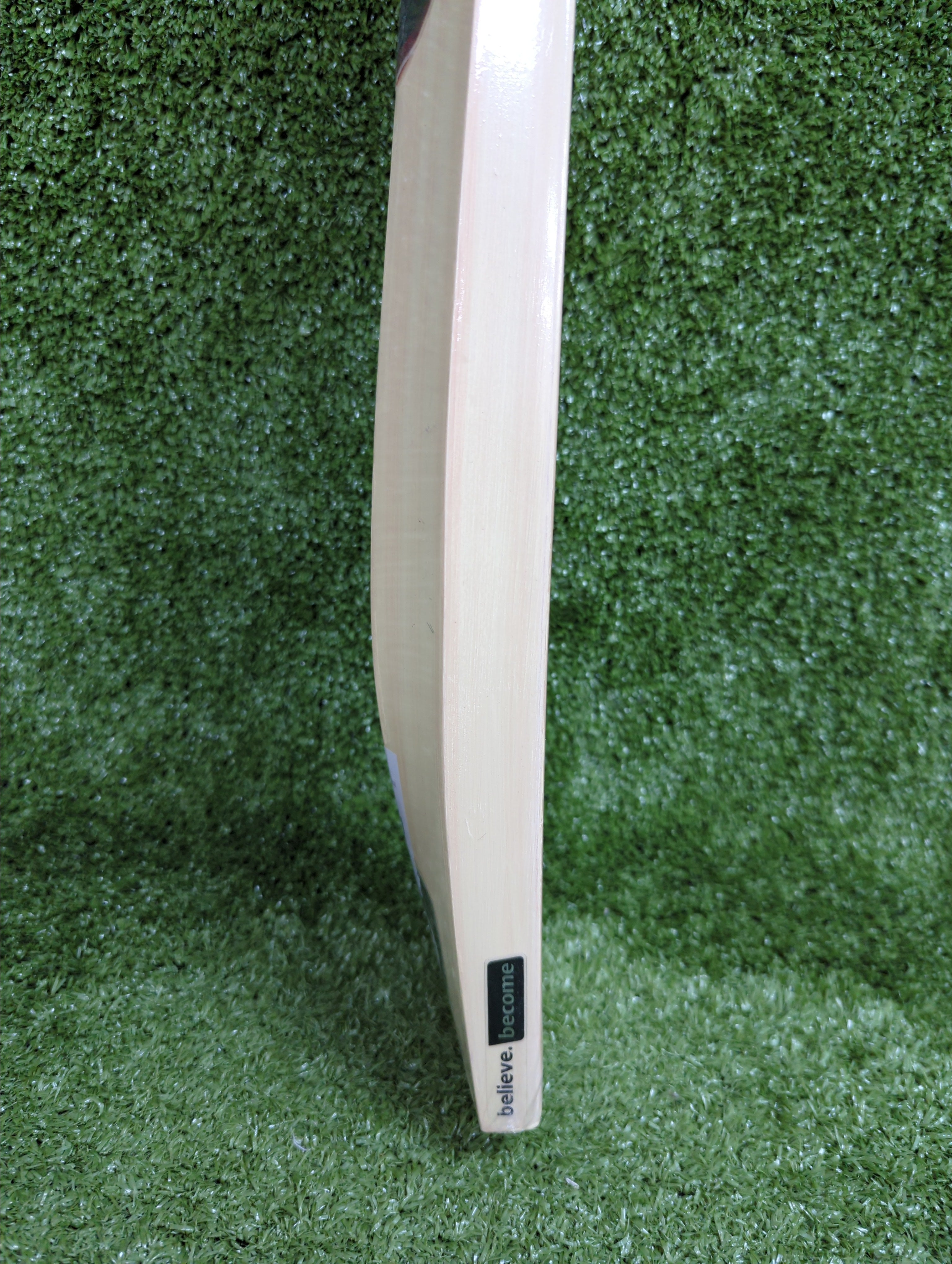 SG Profile Xtreme Junior / Youth Cricket Bat