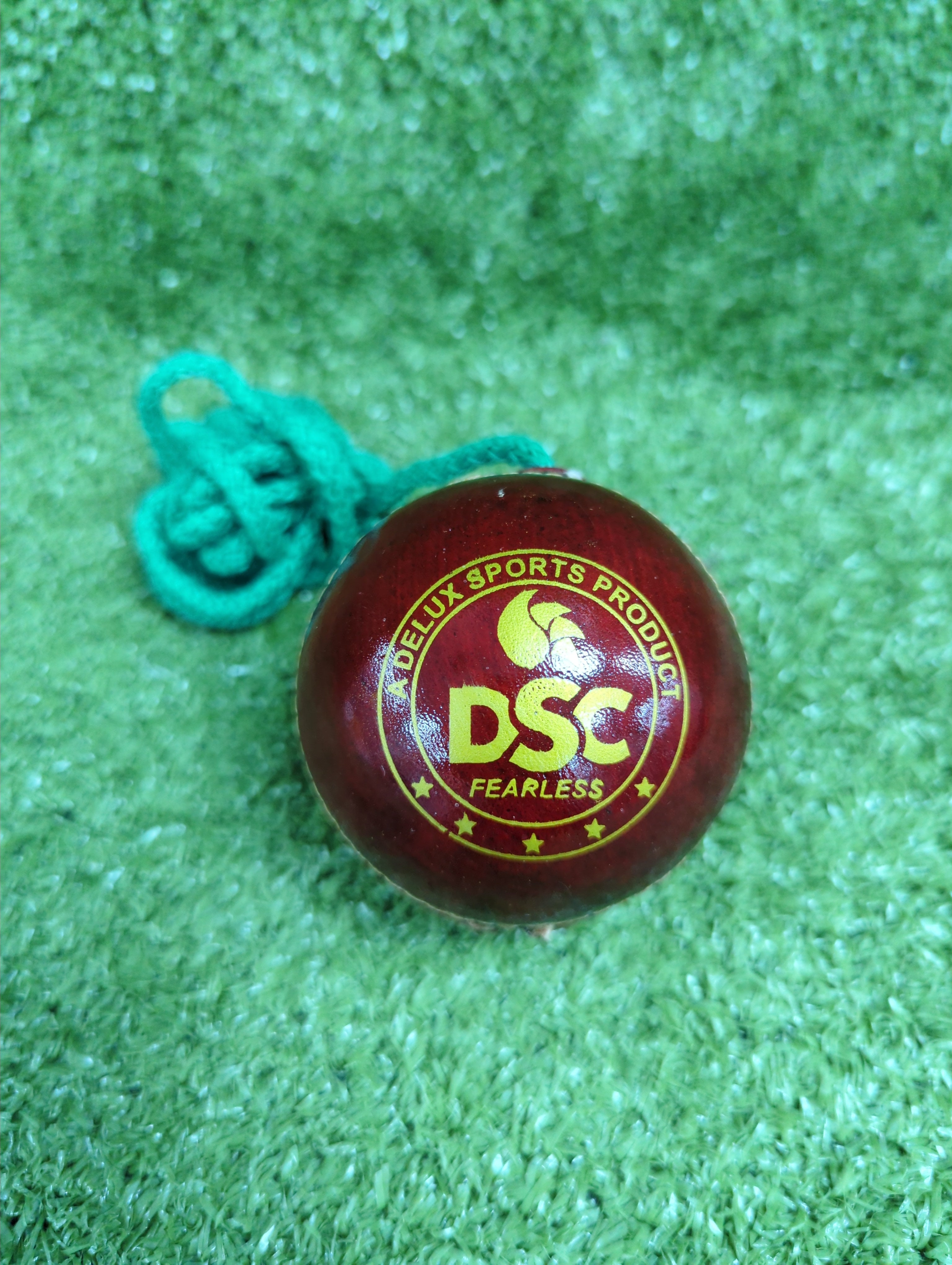 DSC Hanging String Leather Cricket Training Ball