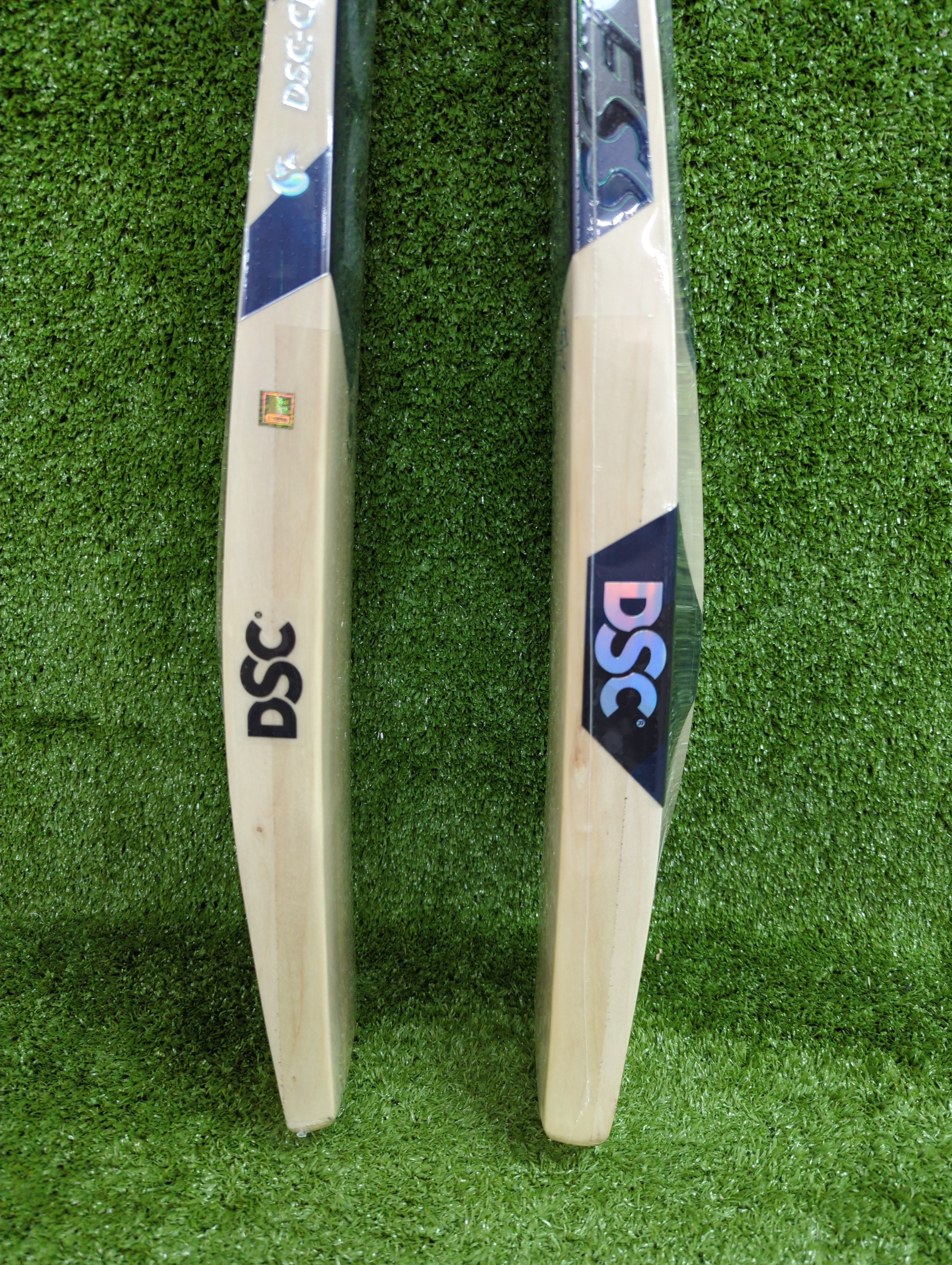 DSC BLAK 88 Adult Kashmir Willow Cricket Bat