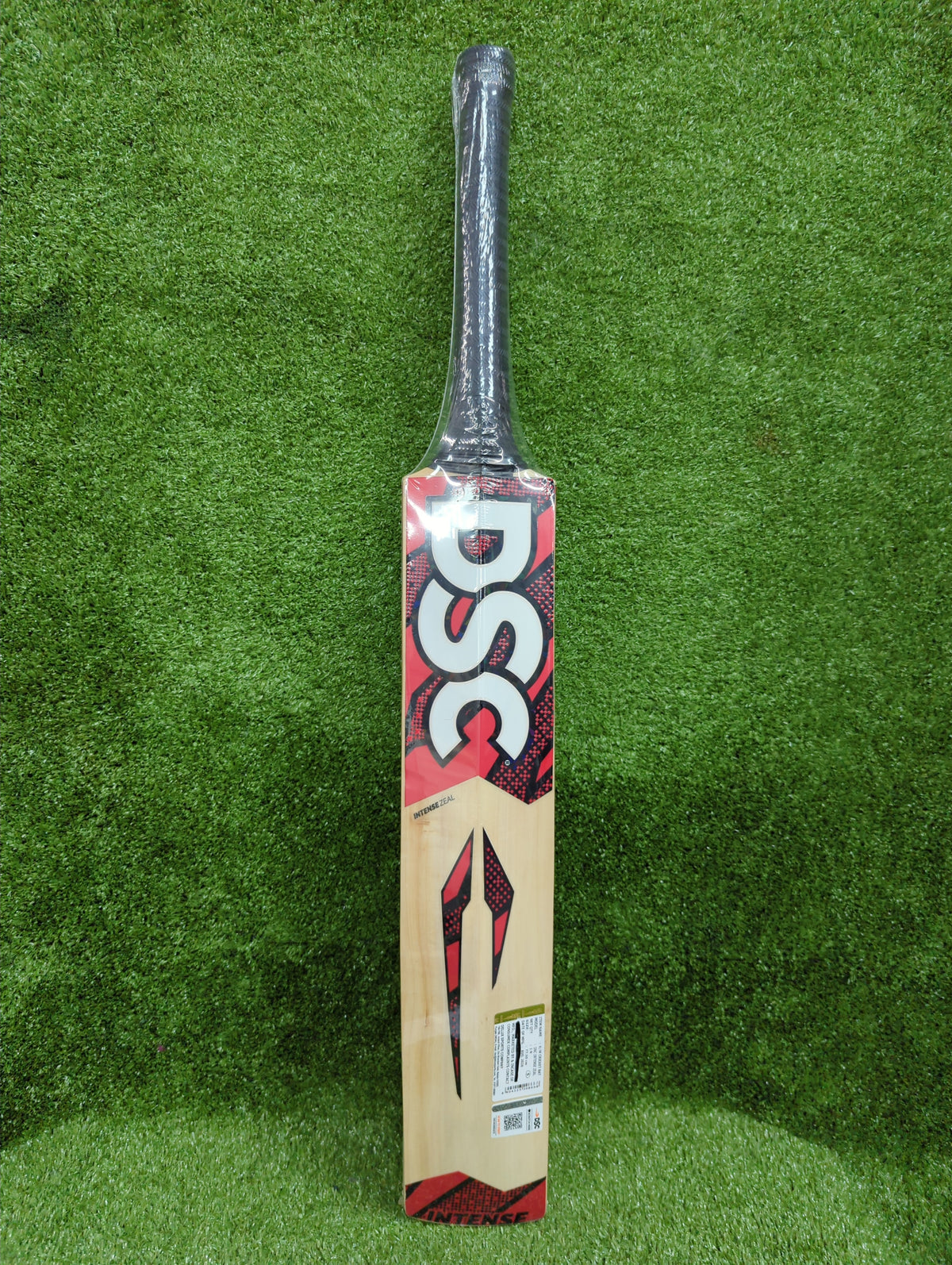 DSC Intense Zeal Junior / Youth Kashmir Willow Cricket Bat DSC