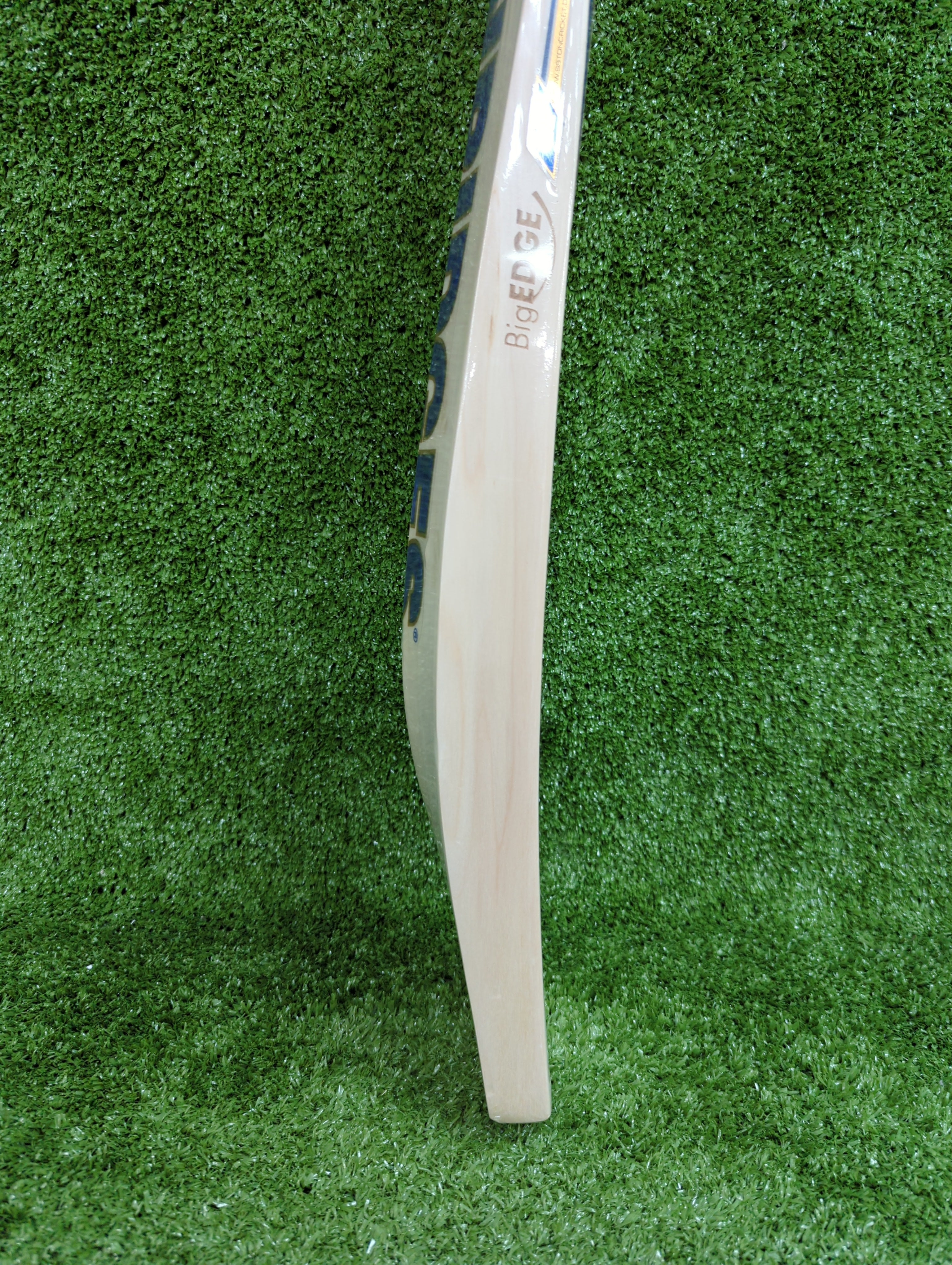 SS Player 2000 English Willow Cricket Bat (Blue Sticker) - Riyan Parag