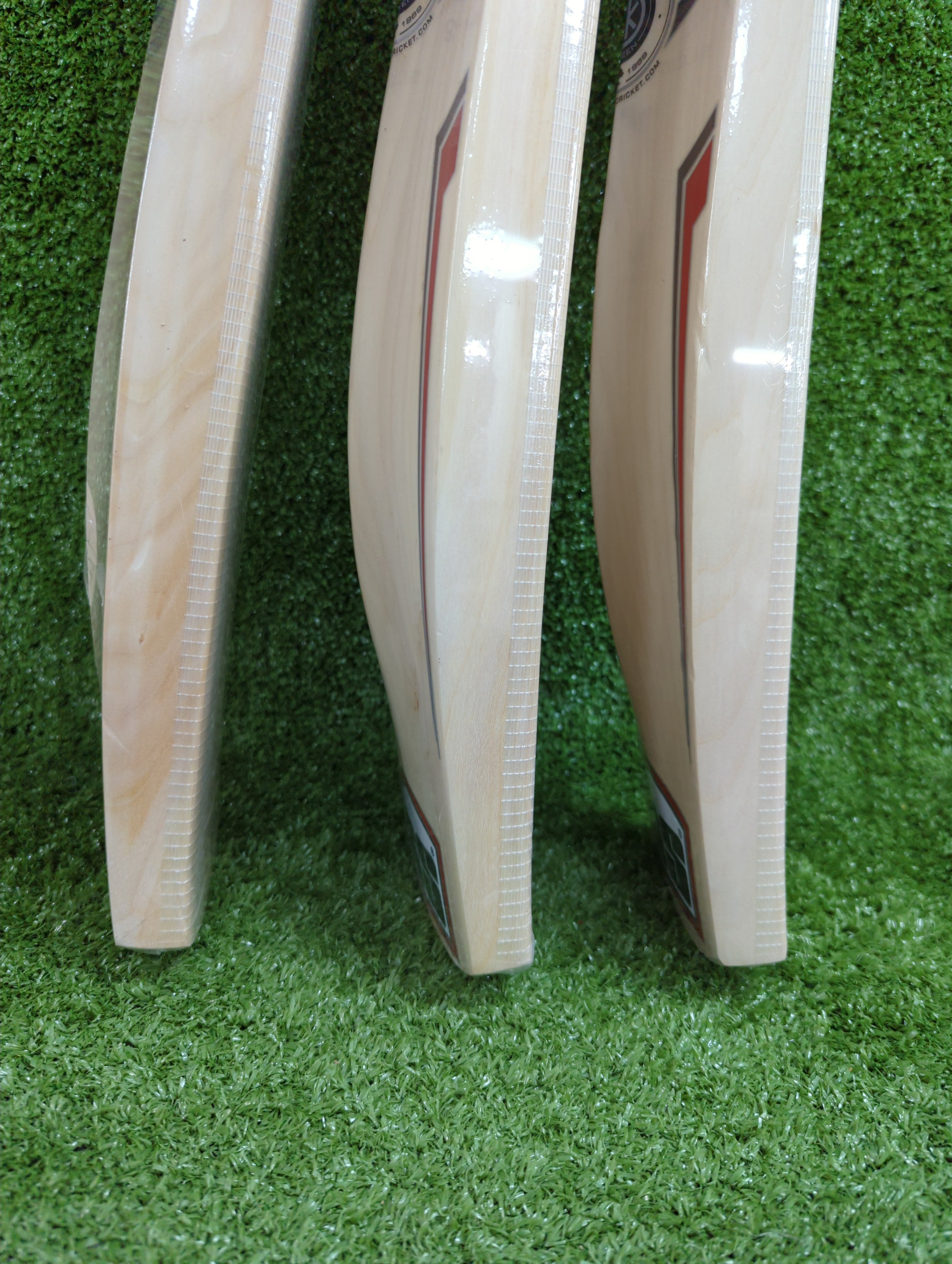 SS Slogger Kashmir Willow Cricket Bat