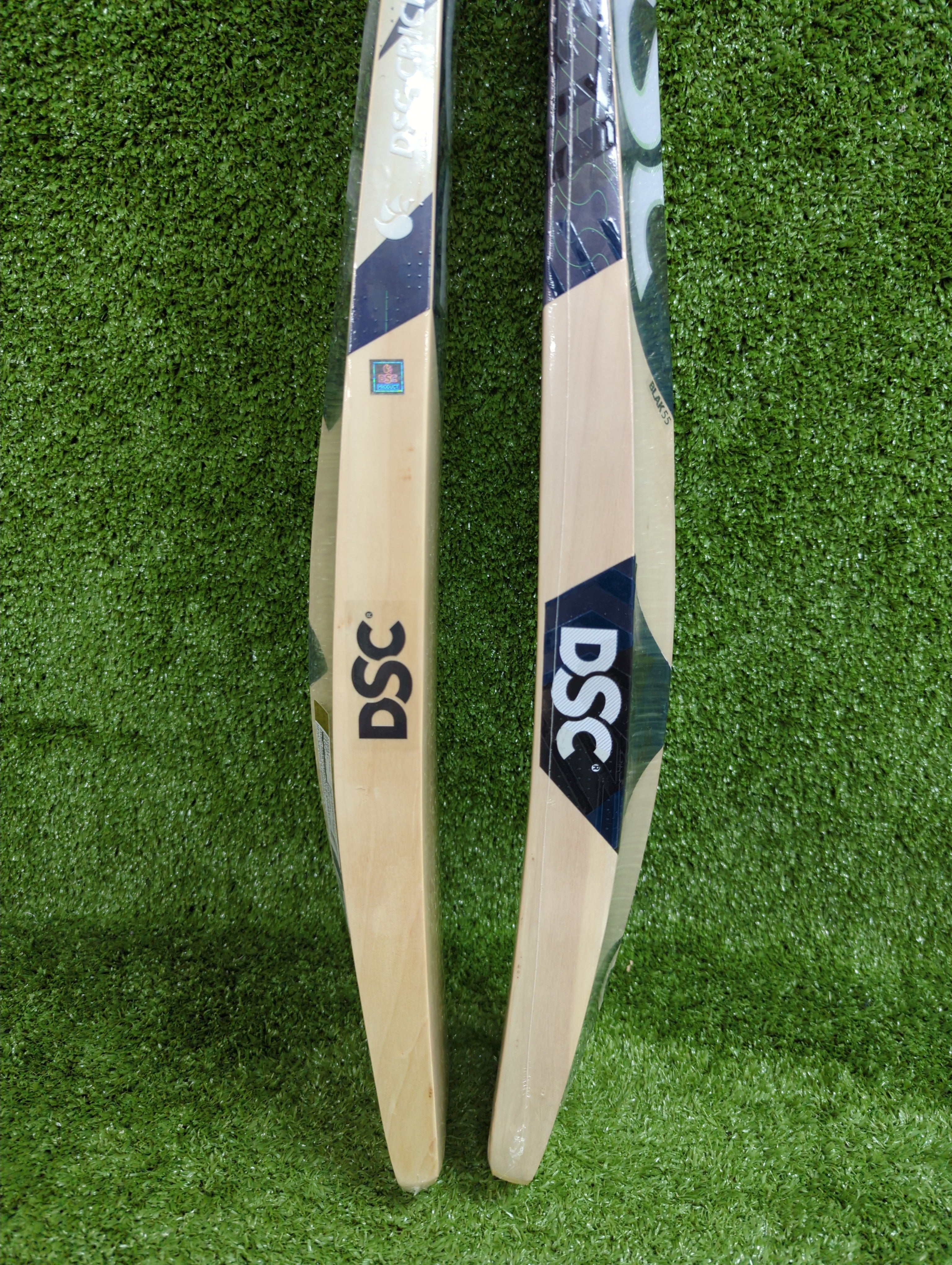 DSC BLAK 55 Adult Kashmir Willow Cricket Bat