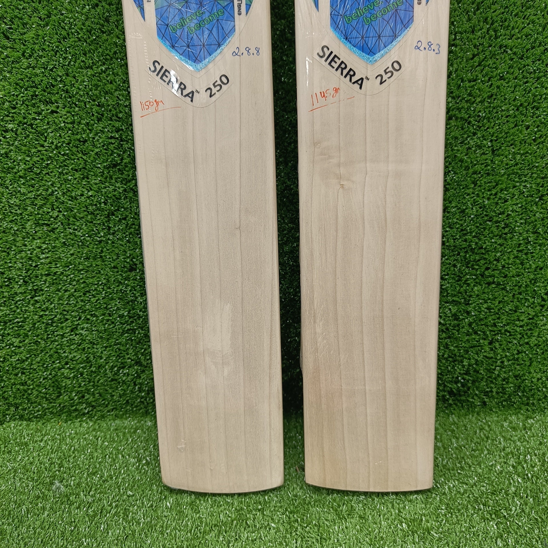 SG Sierra 250 English Willow Cricket Bat