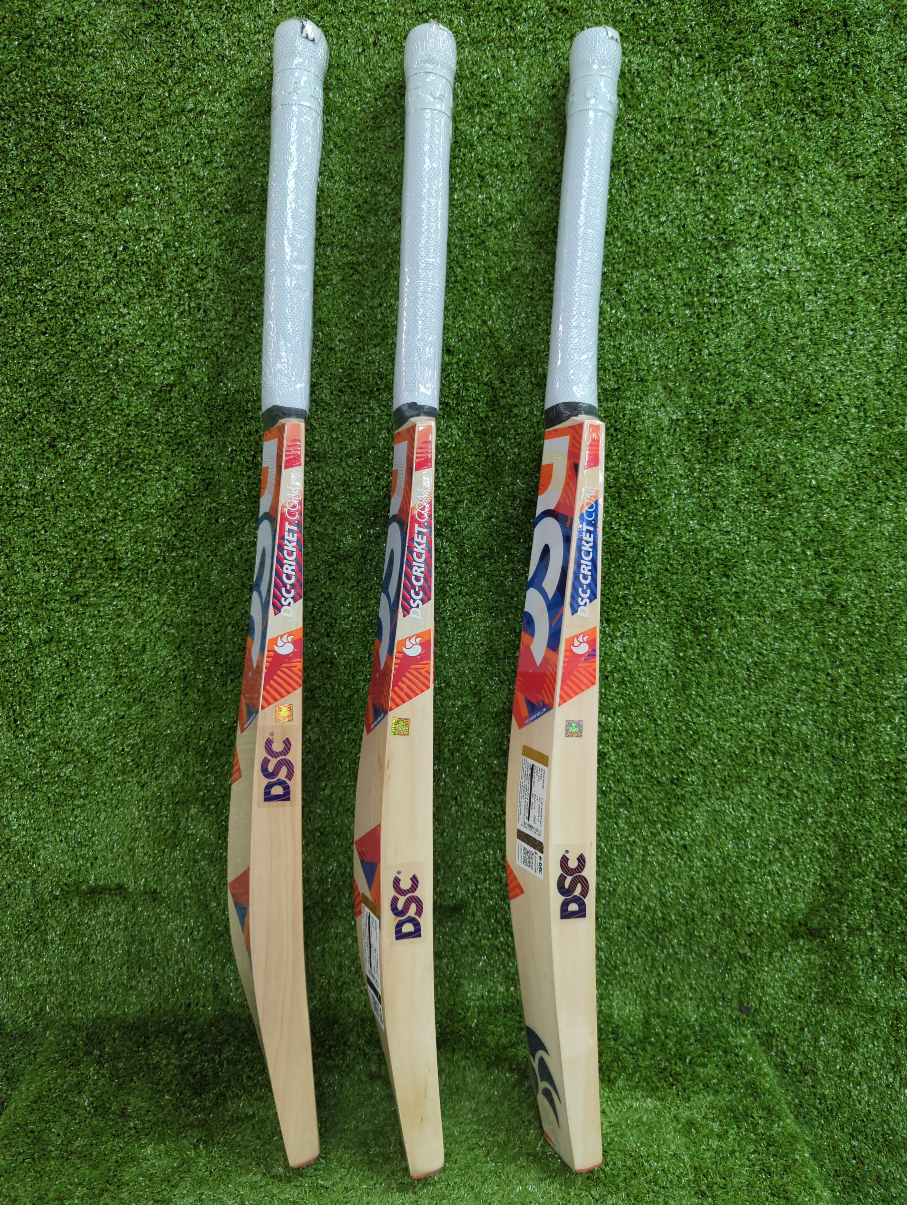 DSC Krunch 55 Kashmir Willow Cricket Bat by DSC - back view - TopCricketStore