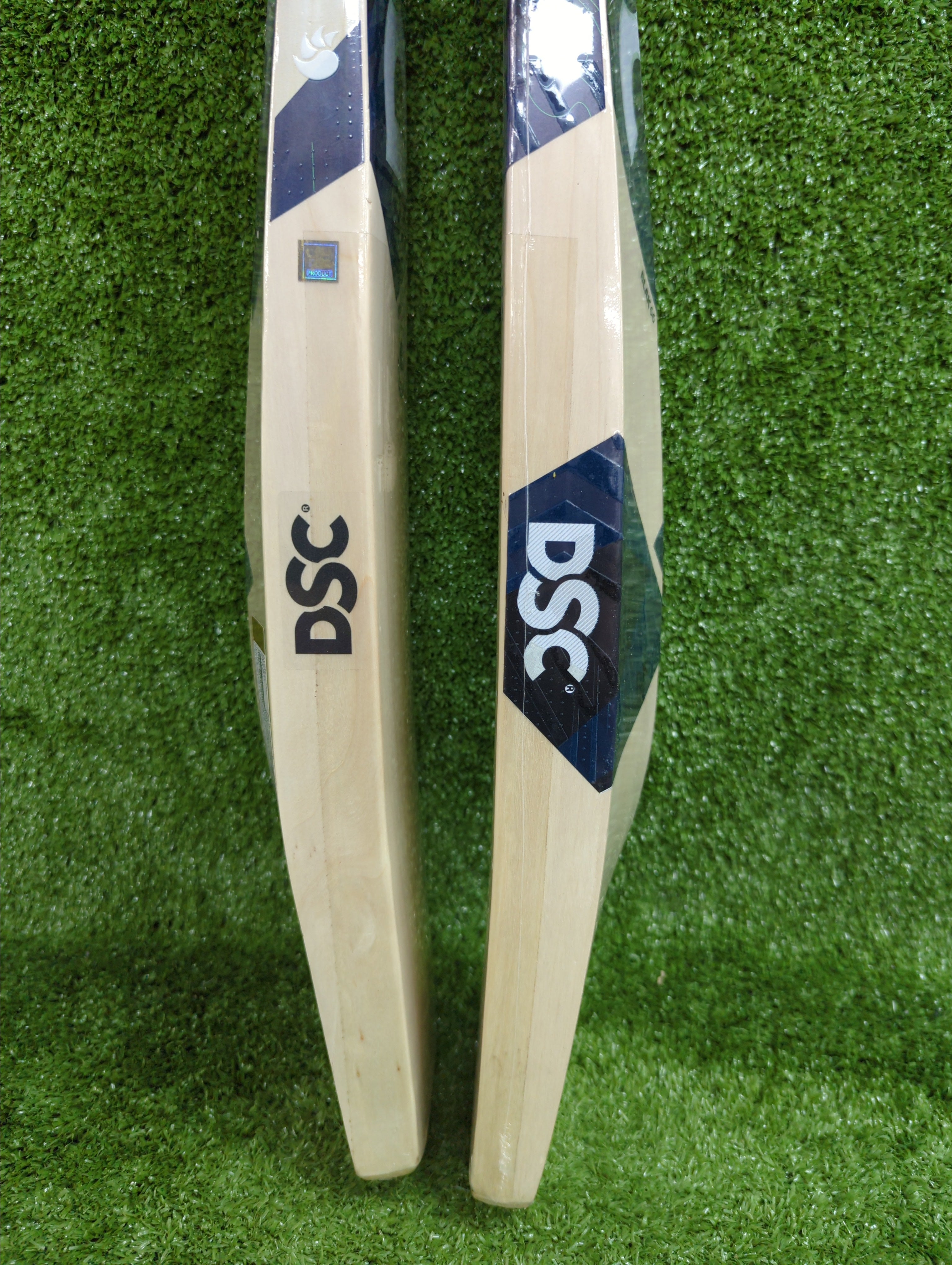 DSC BLAK 66 Adult Kashmir Willow Cricket Bat