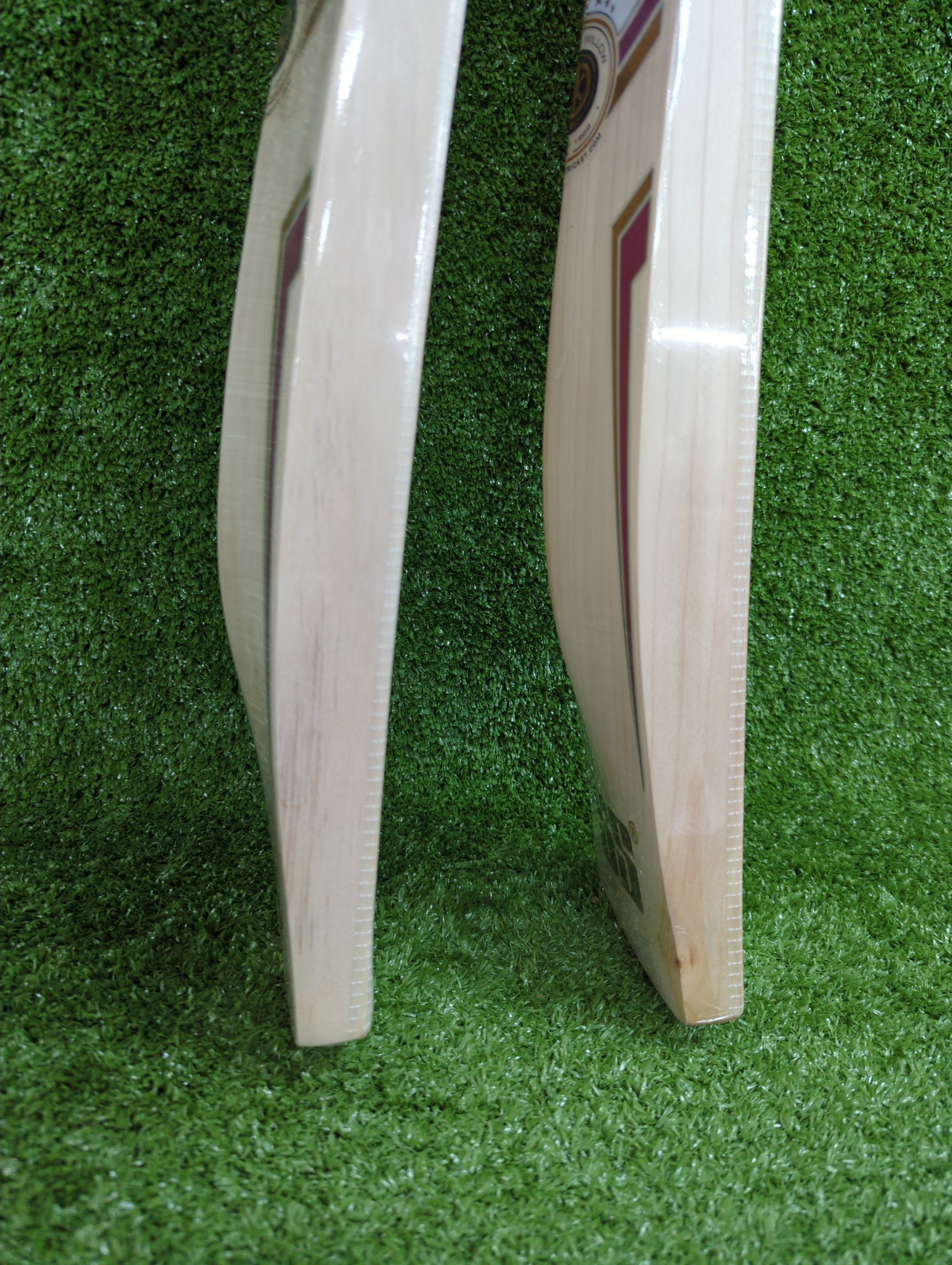 SS Gladiator Kashmir Willow Cricket Bat