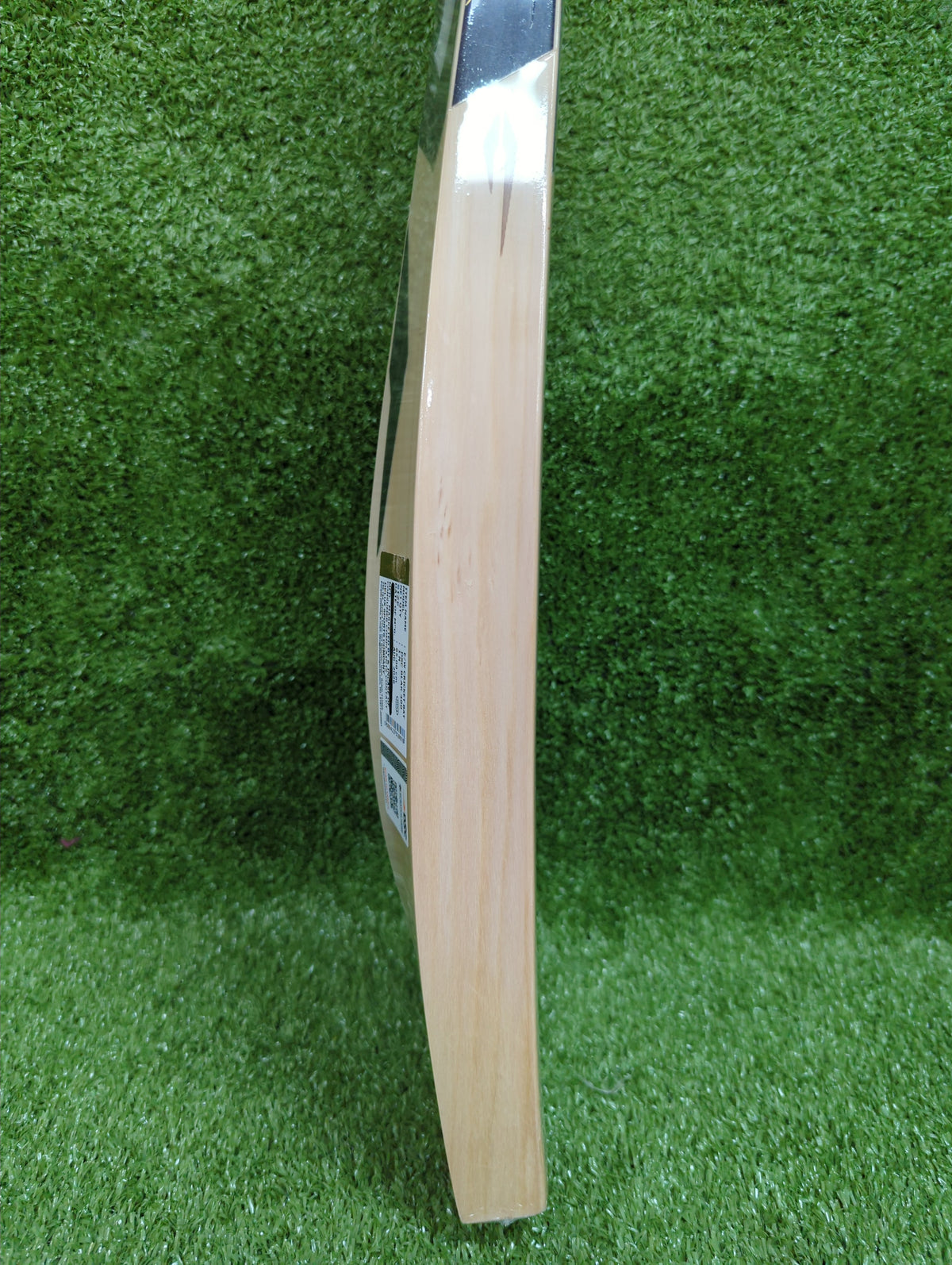 DSC Blak 400 Adult English Willow Cricket Bat DSC