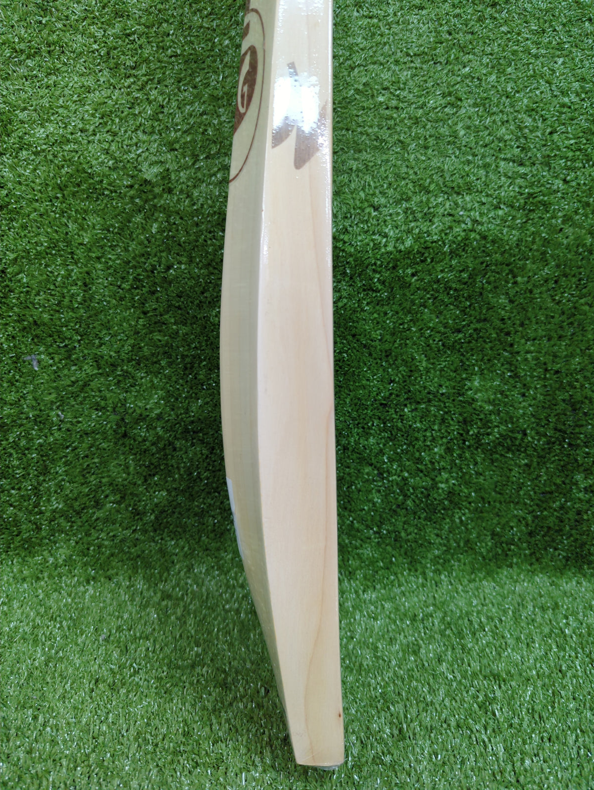 SG Sunny Tonny Arc 1.0  English Willow Cricket Bat SG