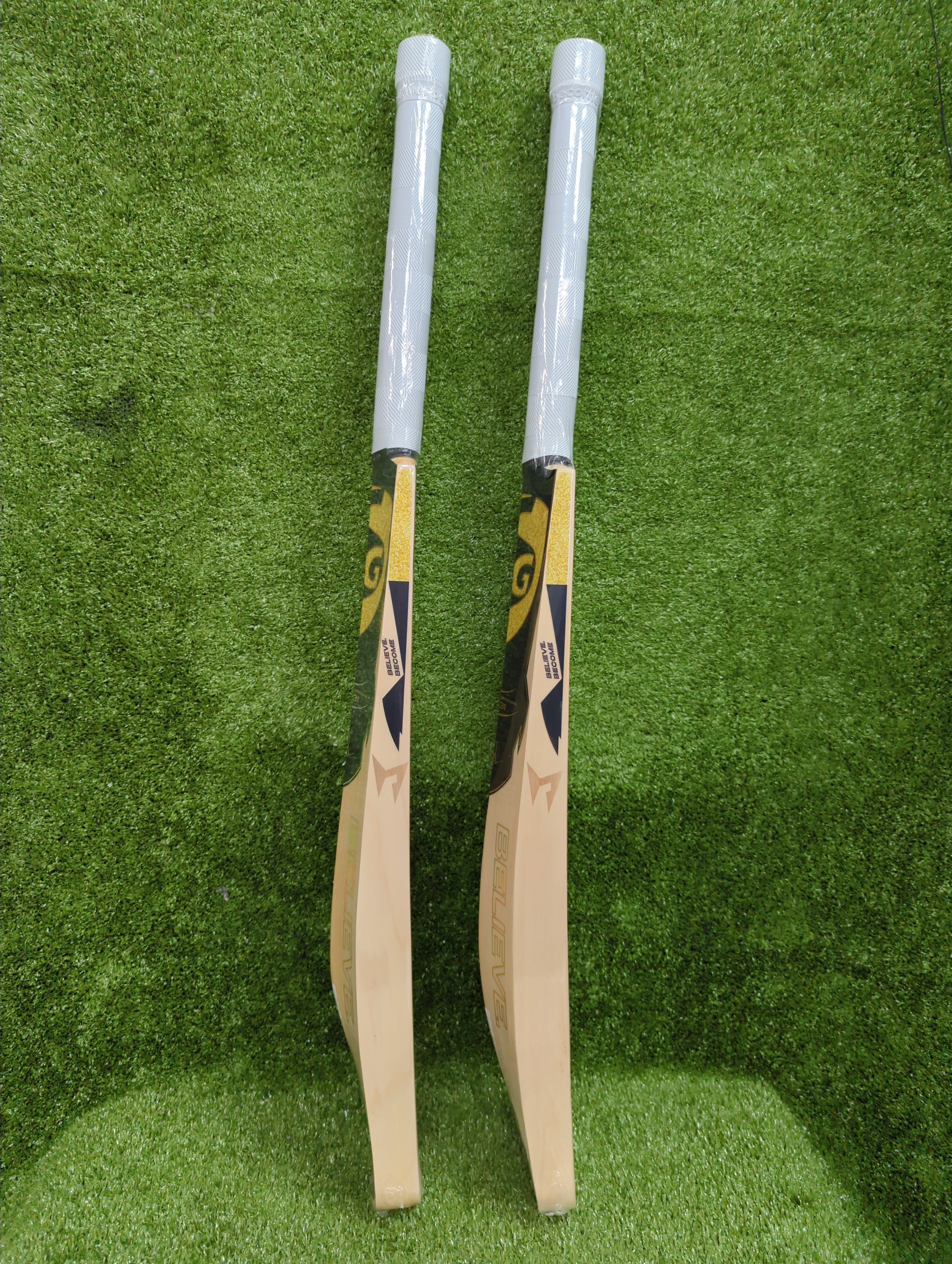 SG HP T-20 English Willow Cricket Bat SG