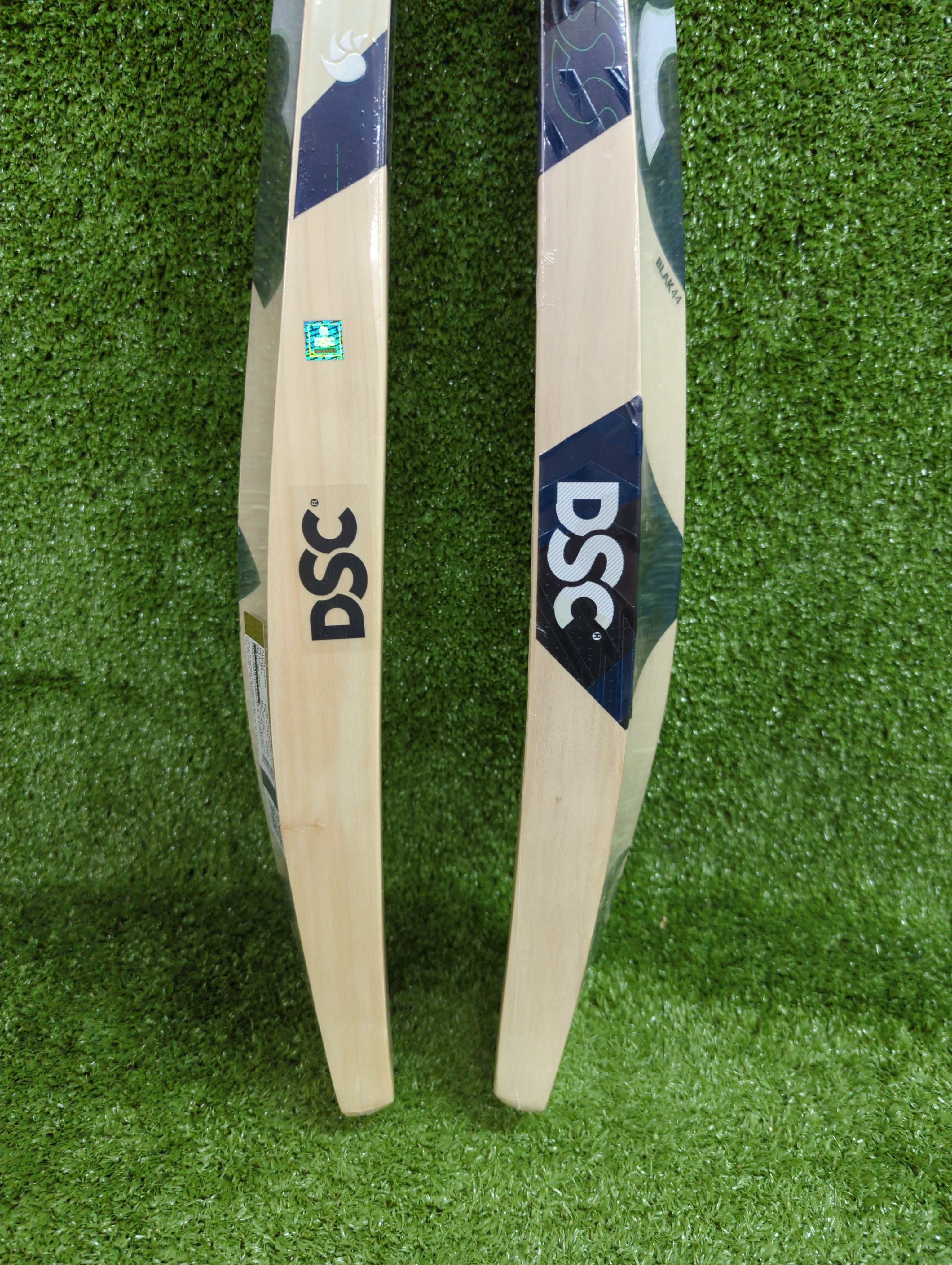 DSC BLAK 44 Adult Kashmir Willow Cricket Bat