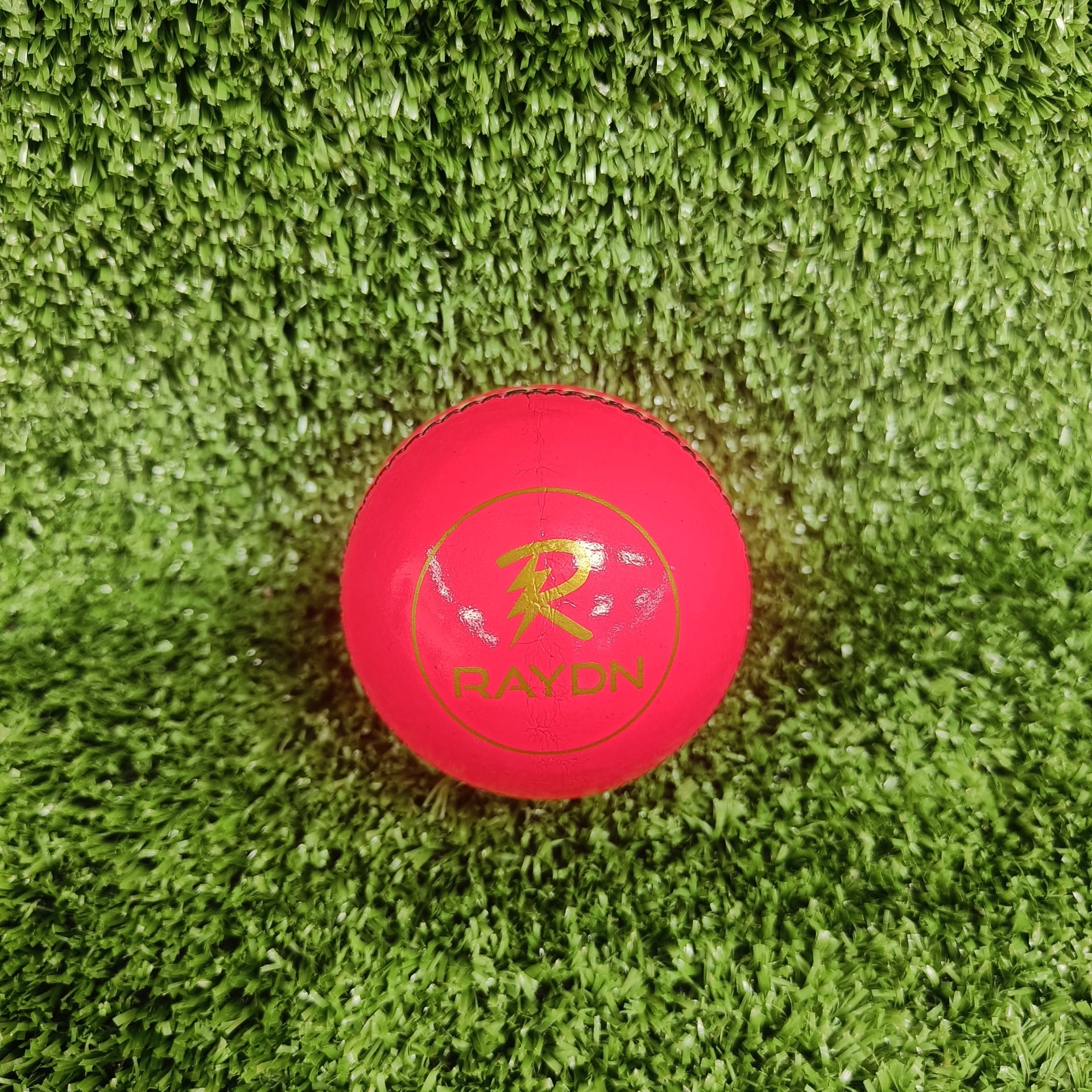 Raydn Club Pink Cricket Leather Ball