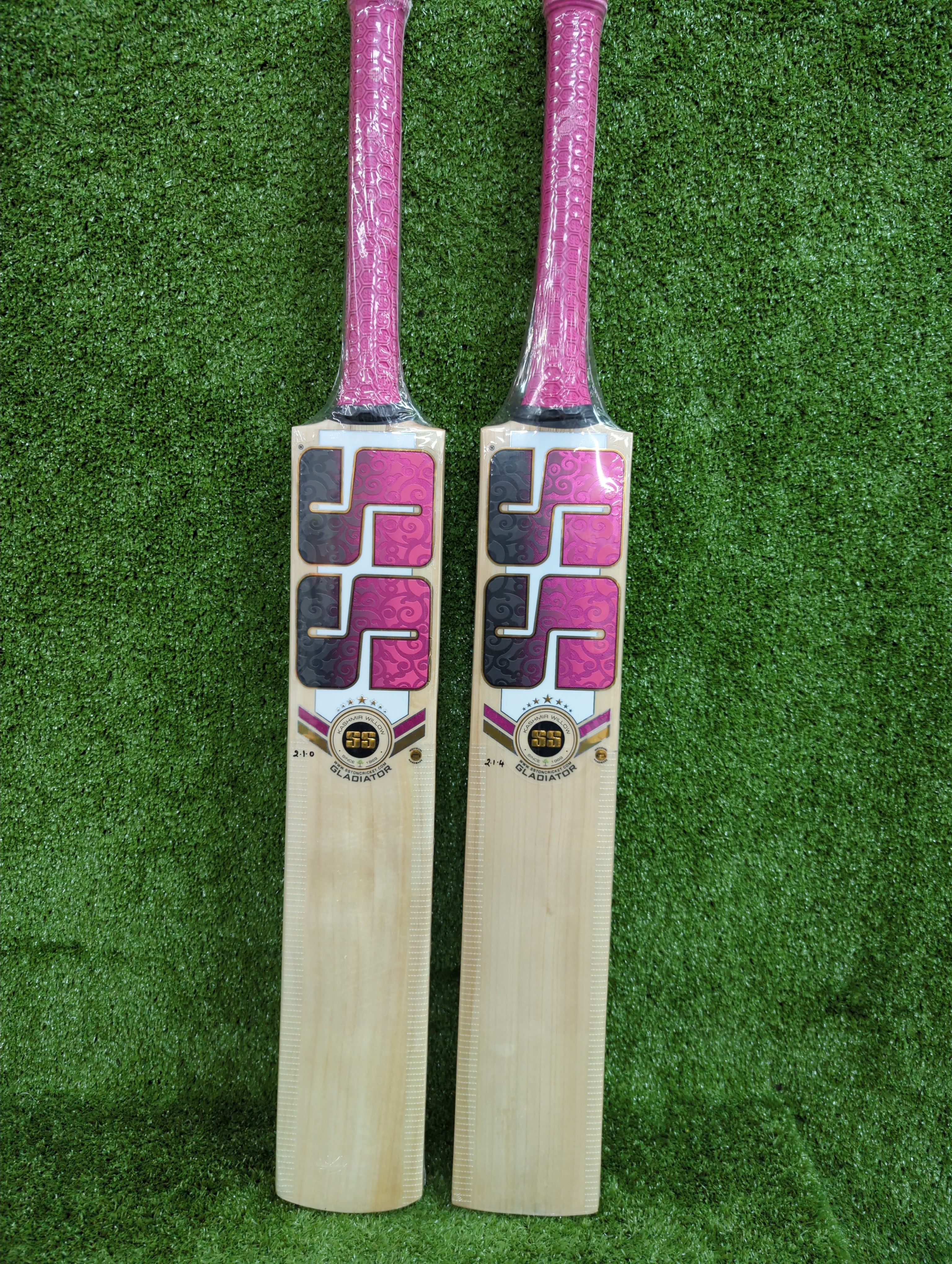 SS Gladiator Kashmir Willow Cricket Bat