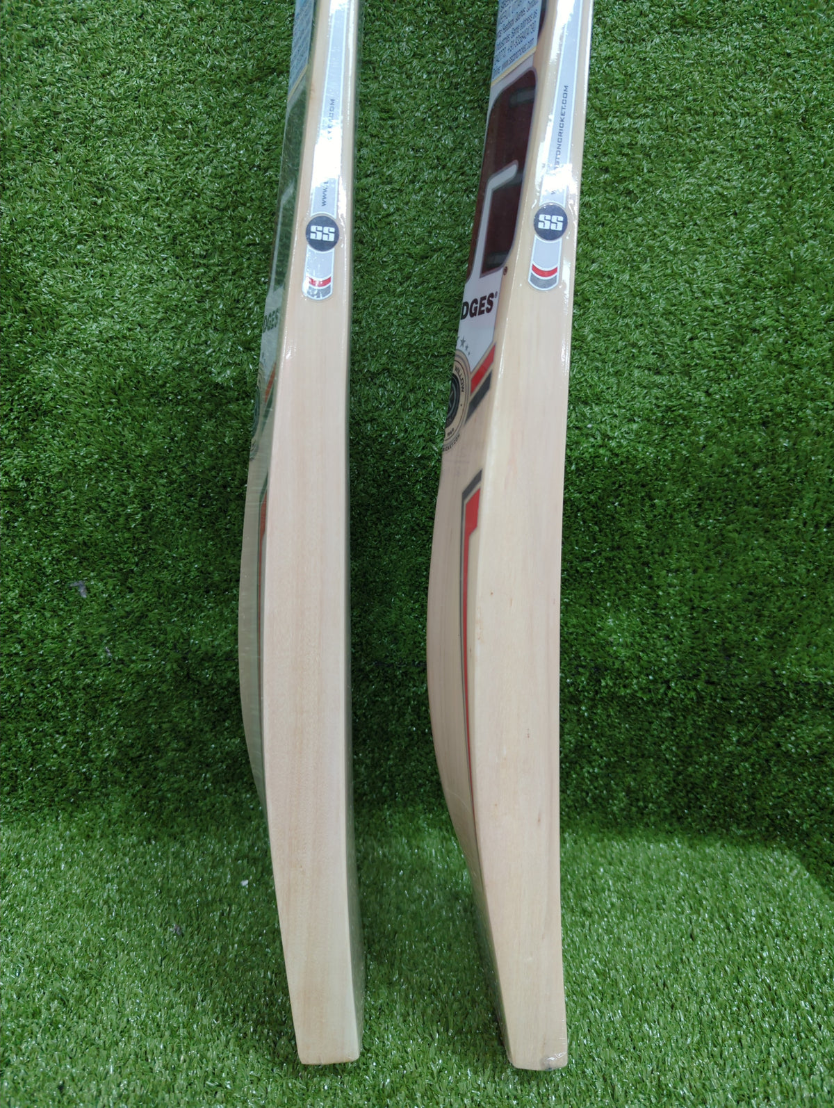 SS Ranger Kashmir Willow Cricket Bat by SS - close-up detail - TopCricketStore