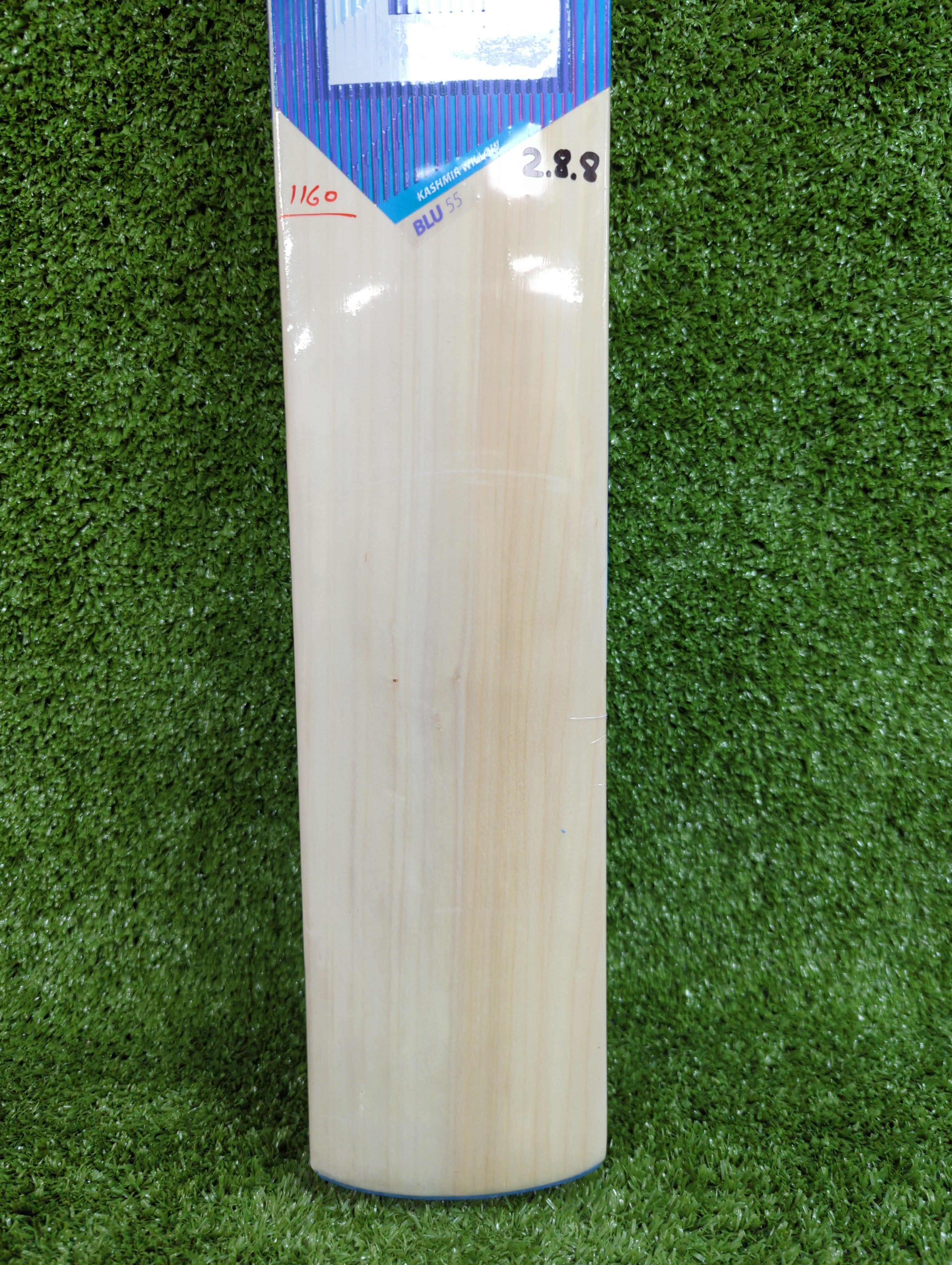 DSC Blu 55 Kashmir Willow Cricket Bat