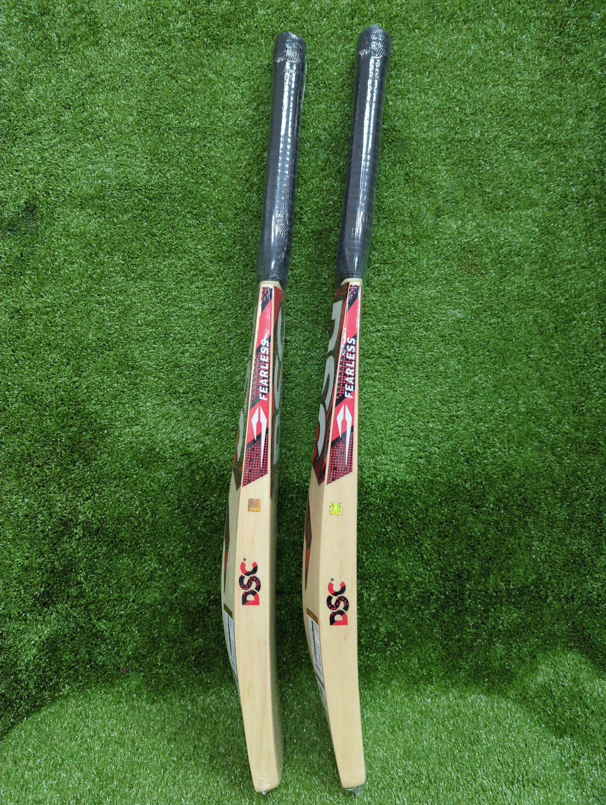 DSC Intense Zeal Junior / Youth Kashmir Willow Cricket Bat DSC