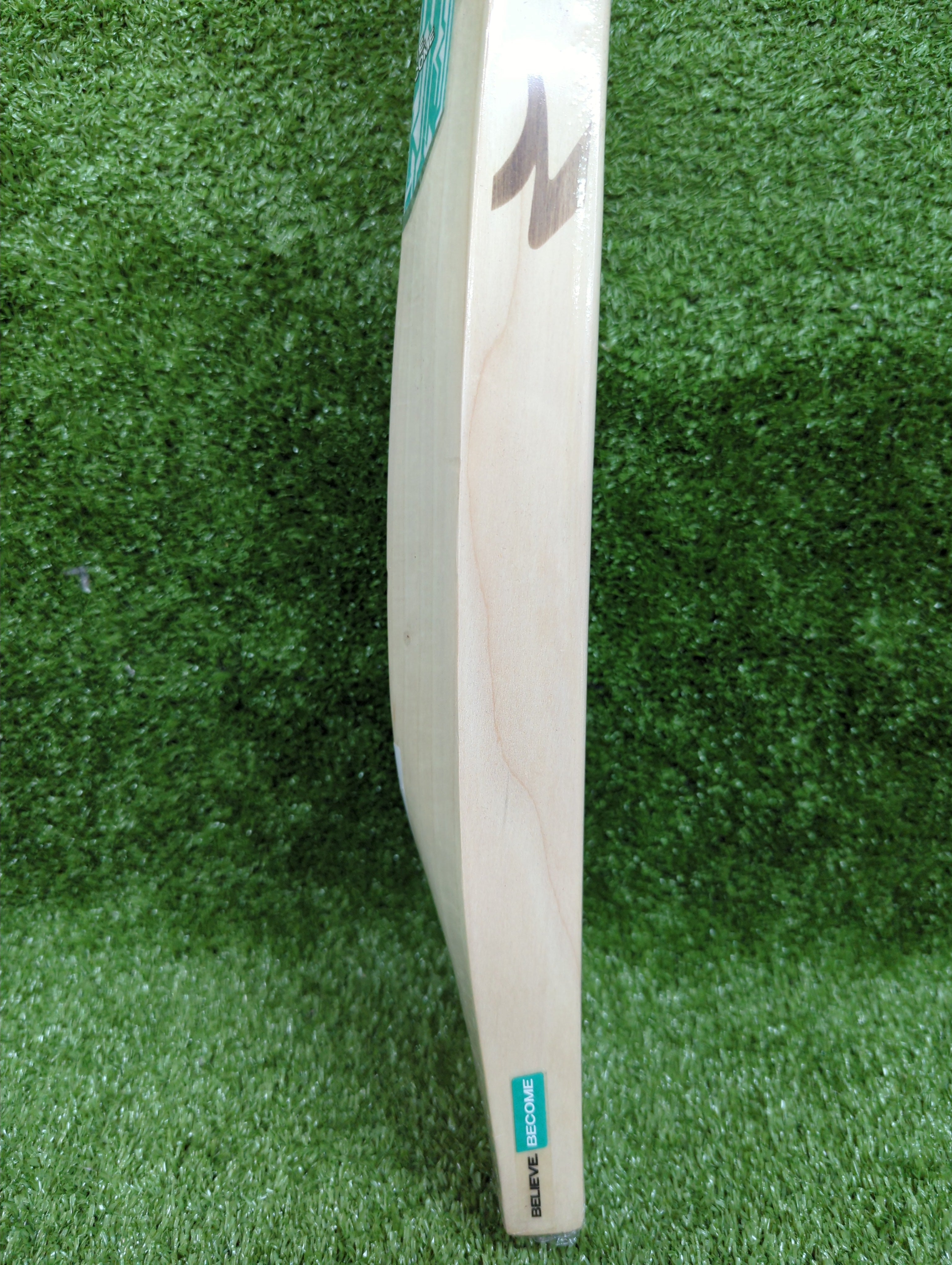 SG Players Edition English Willow Cricket Bat SG