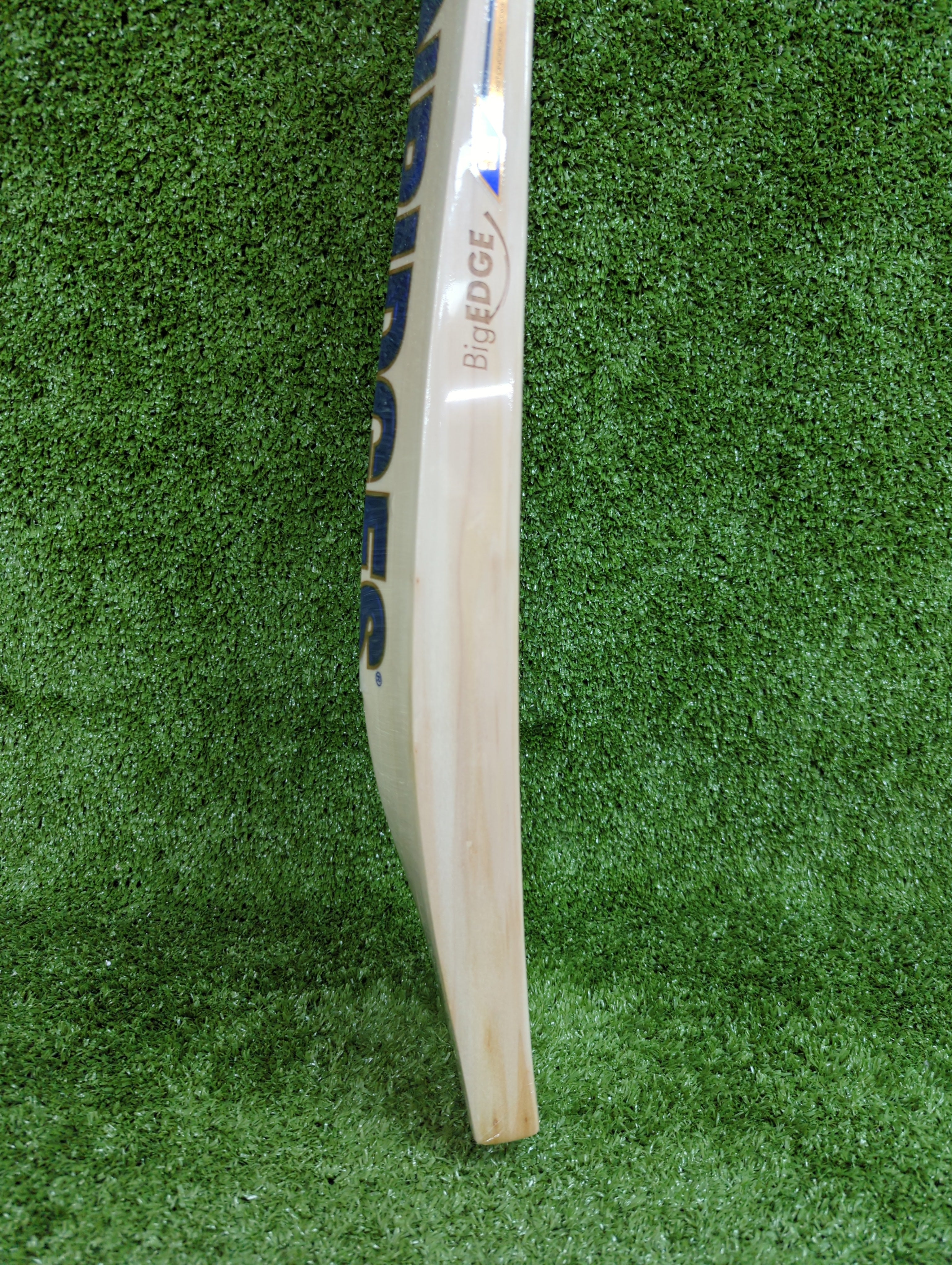 SS Player 3000 English Willow Cricket Bat (Blue Sticker) - Riyan Parag