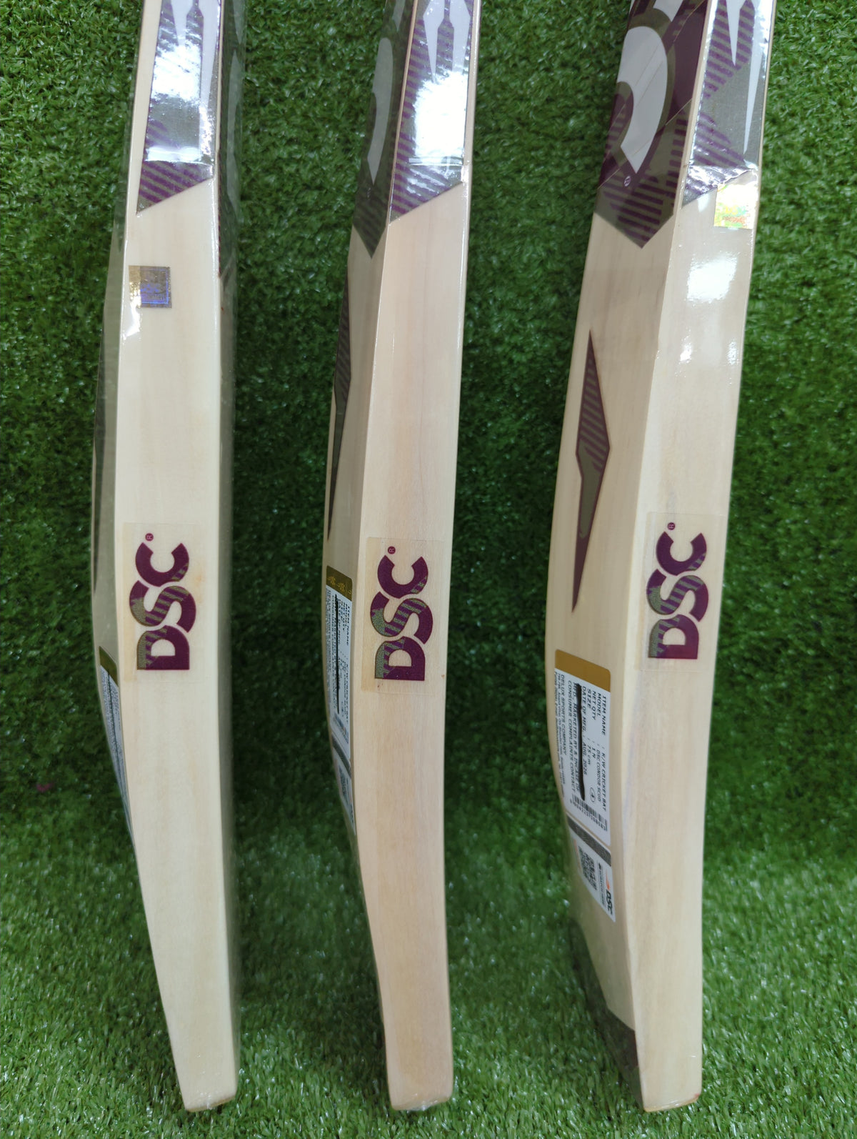 DSC Condor Scud Junior / Youth Kashmir Willow Cricket Bat DSC