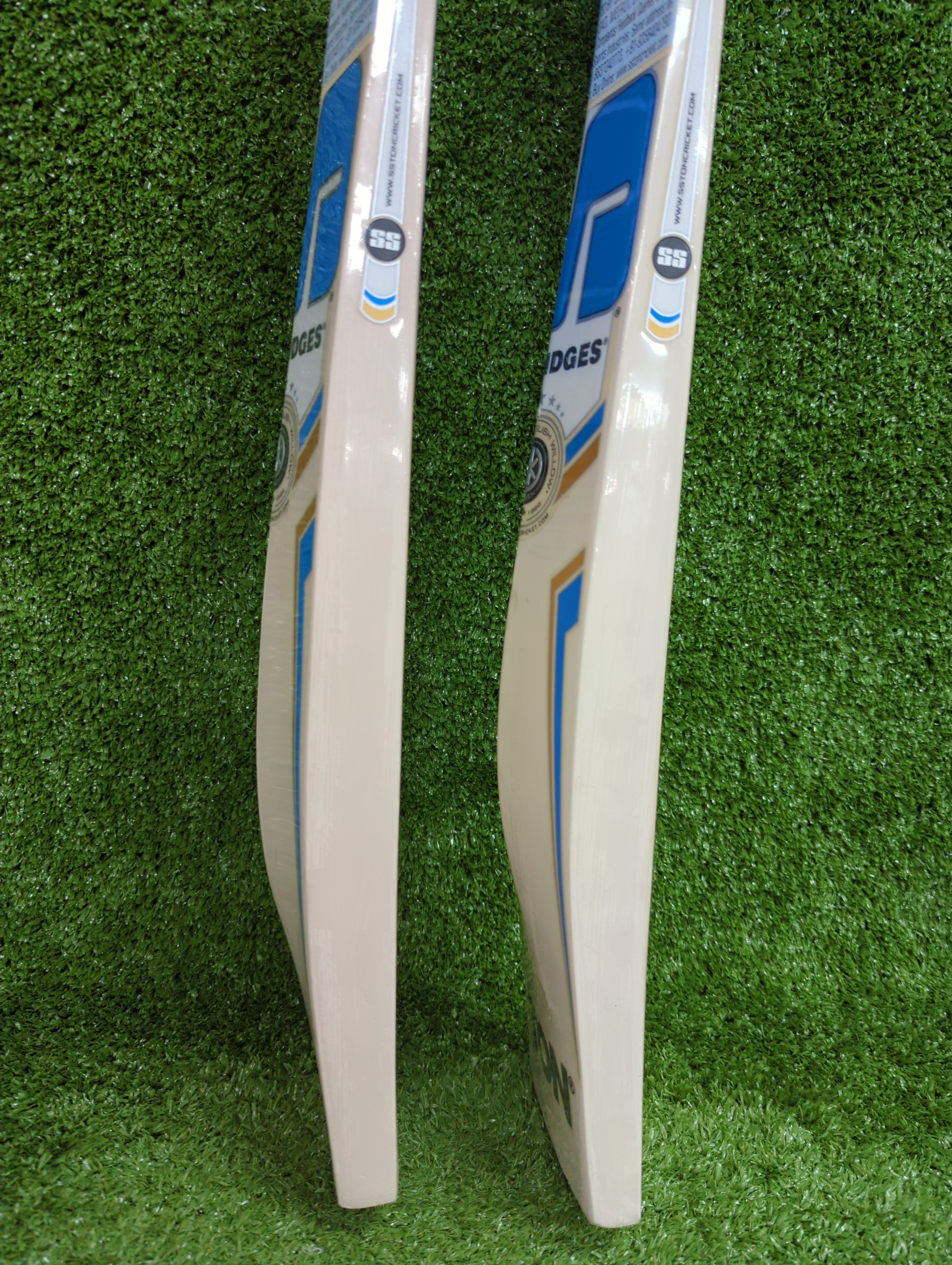 SS Storm Junior / Youth Cricket Bat