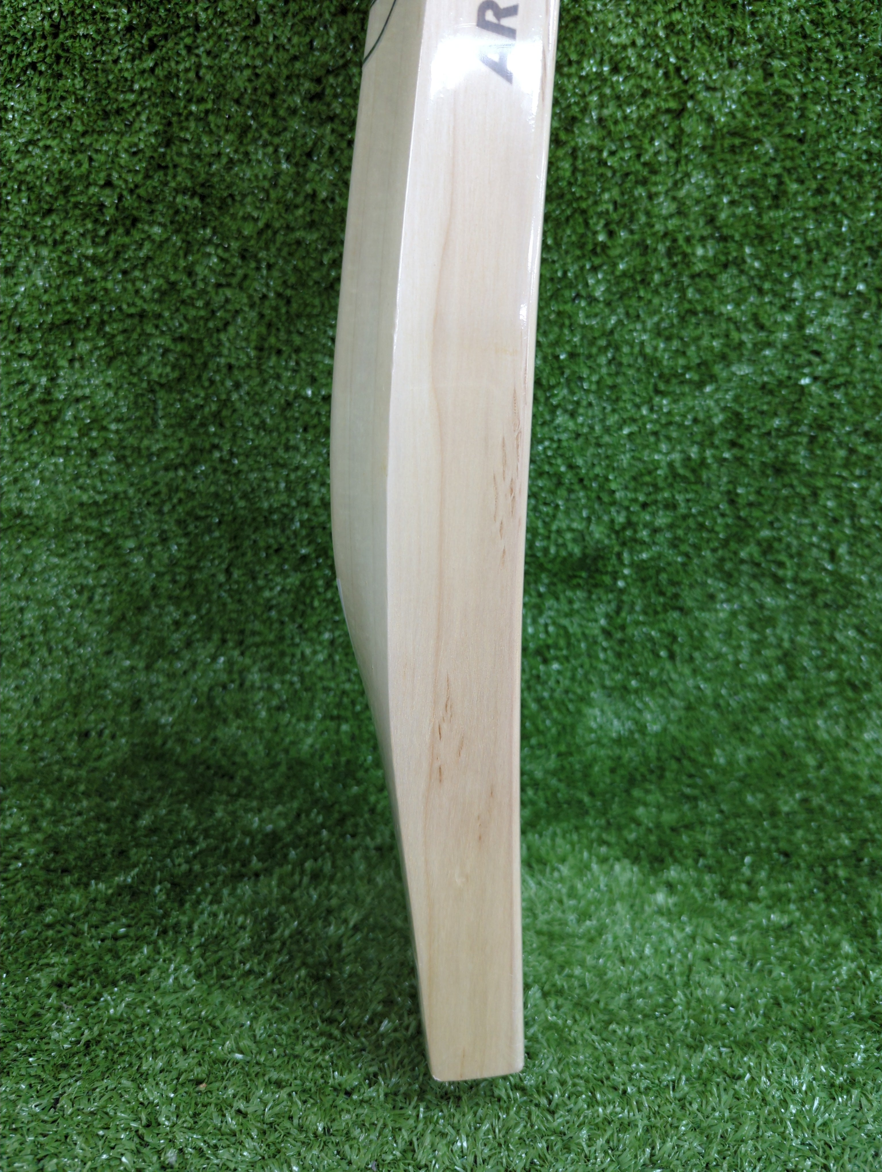 SG Triple Crown Arc 2.0  English Willow Cricket Bat