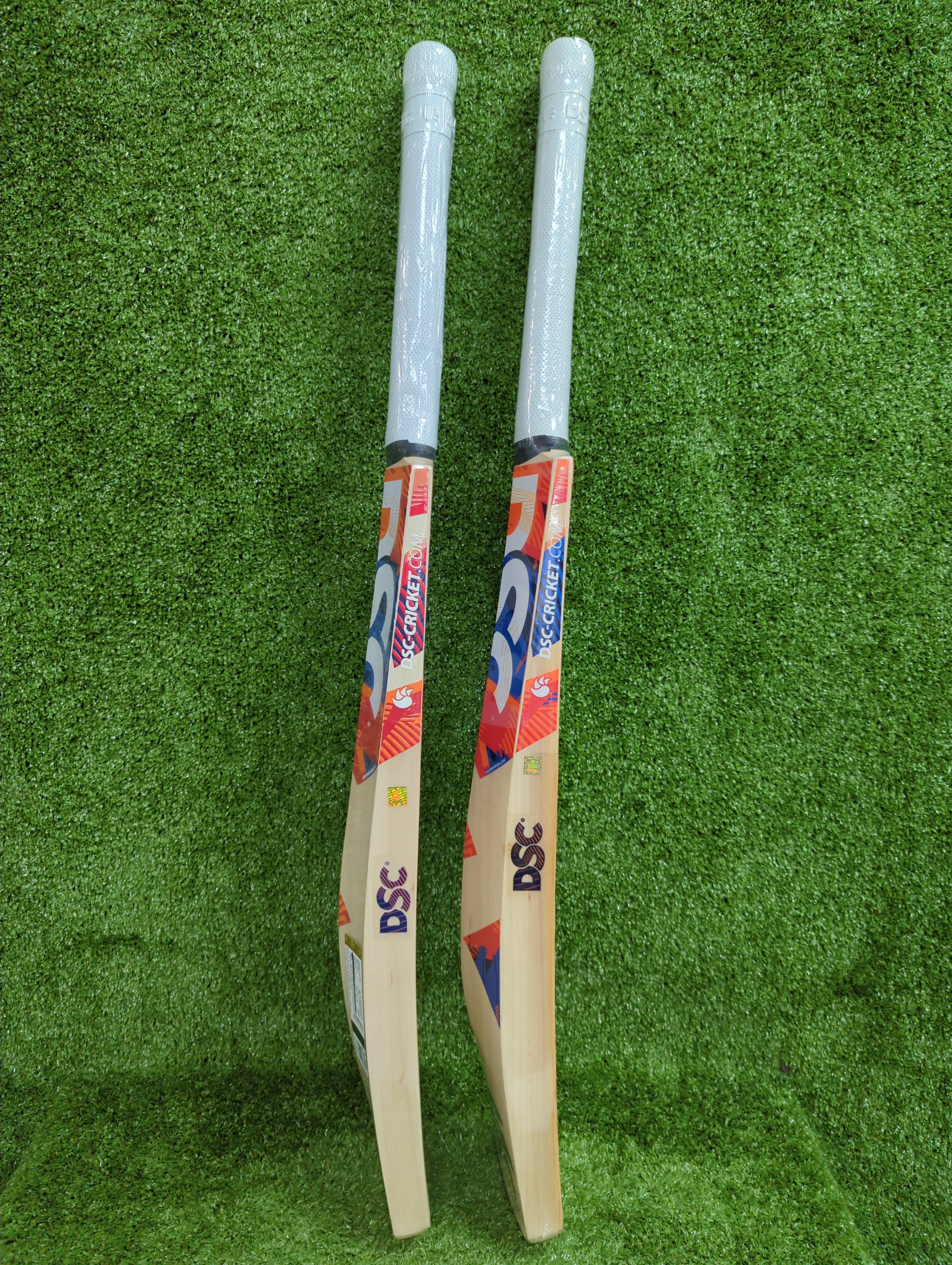DSC Krunch 66 Kashmir Willow Cricket Bat by DSC - back view - TopCricketStore