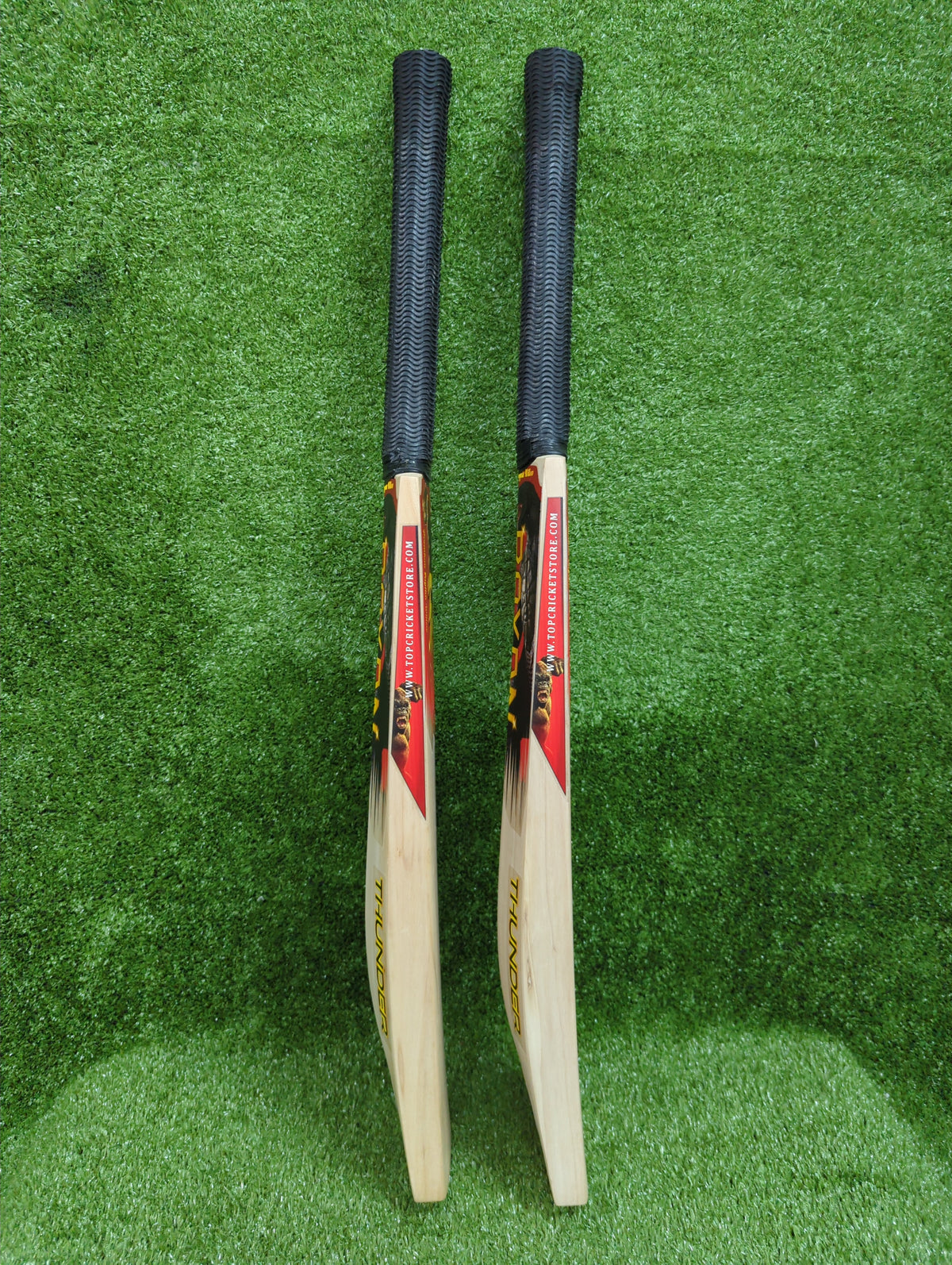 Raydn Thunder (Surya Kumar Yadav Profile) English Willow Light Weight Junior Bat Raydn