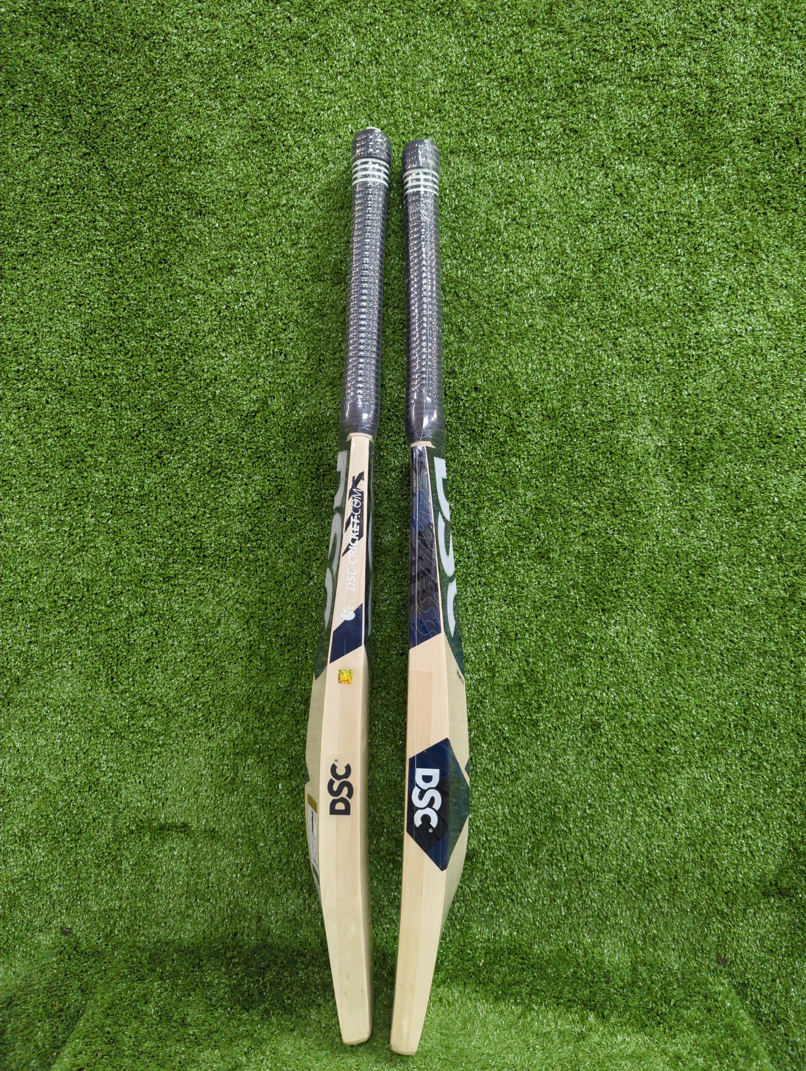 DSC BLAK 66 Adult Kashmir Willow Cricket Bat
