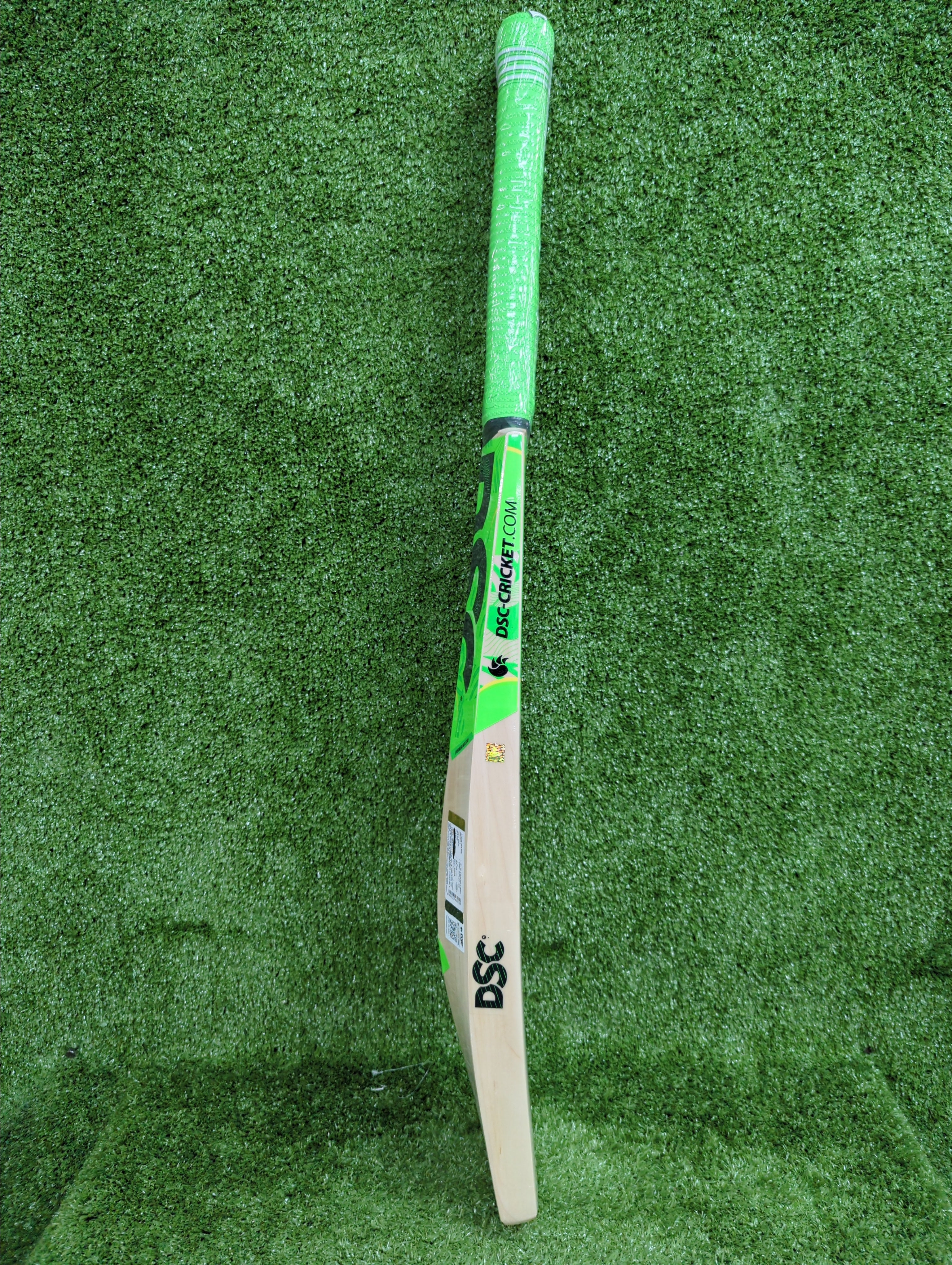 DSC SPLIT 99 Kashmir Willow Cricket Bat