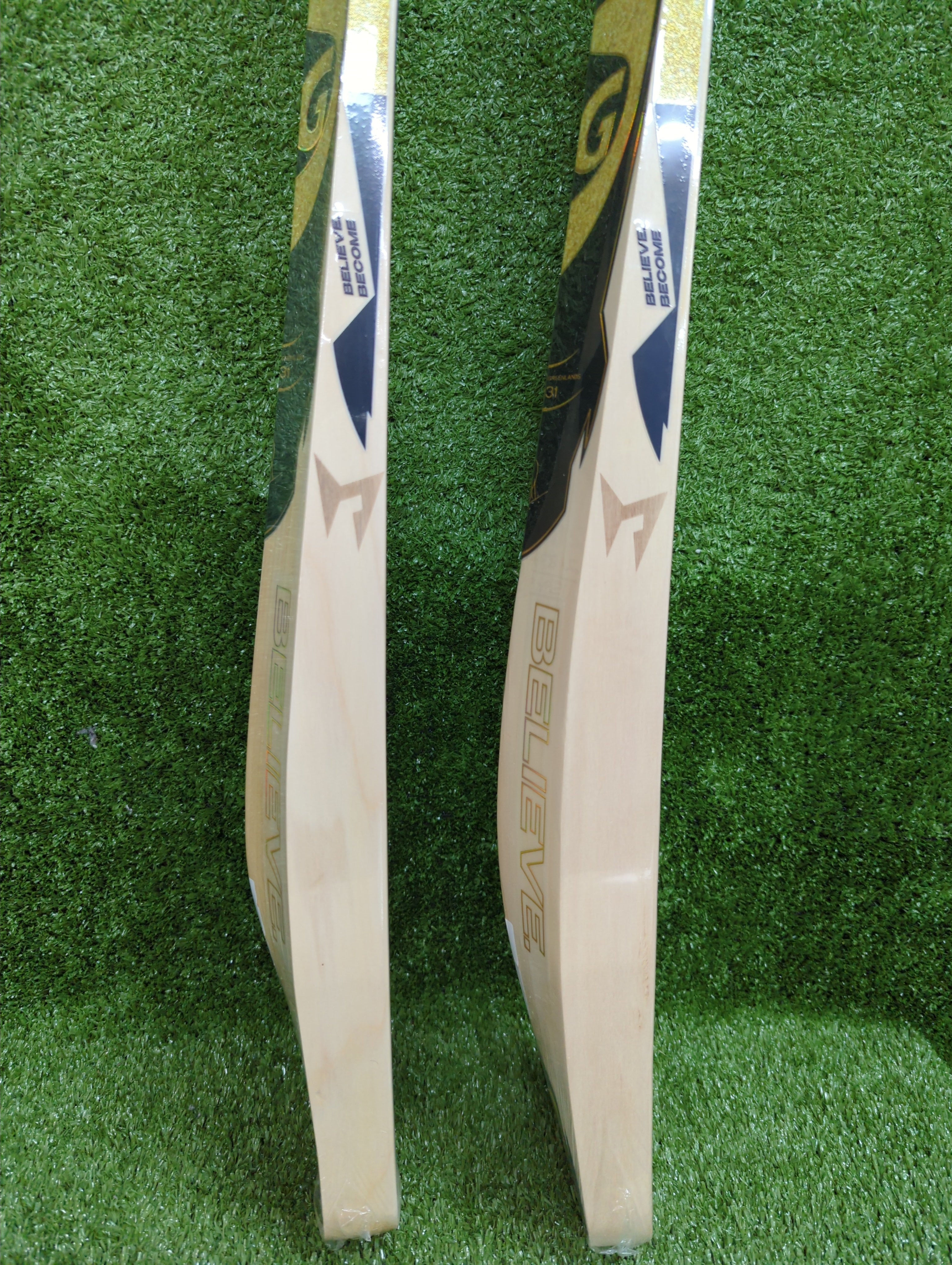 SG HP T-20 English Willow Cricket Bat SG