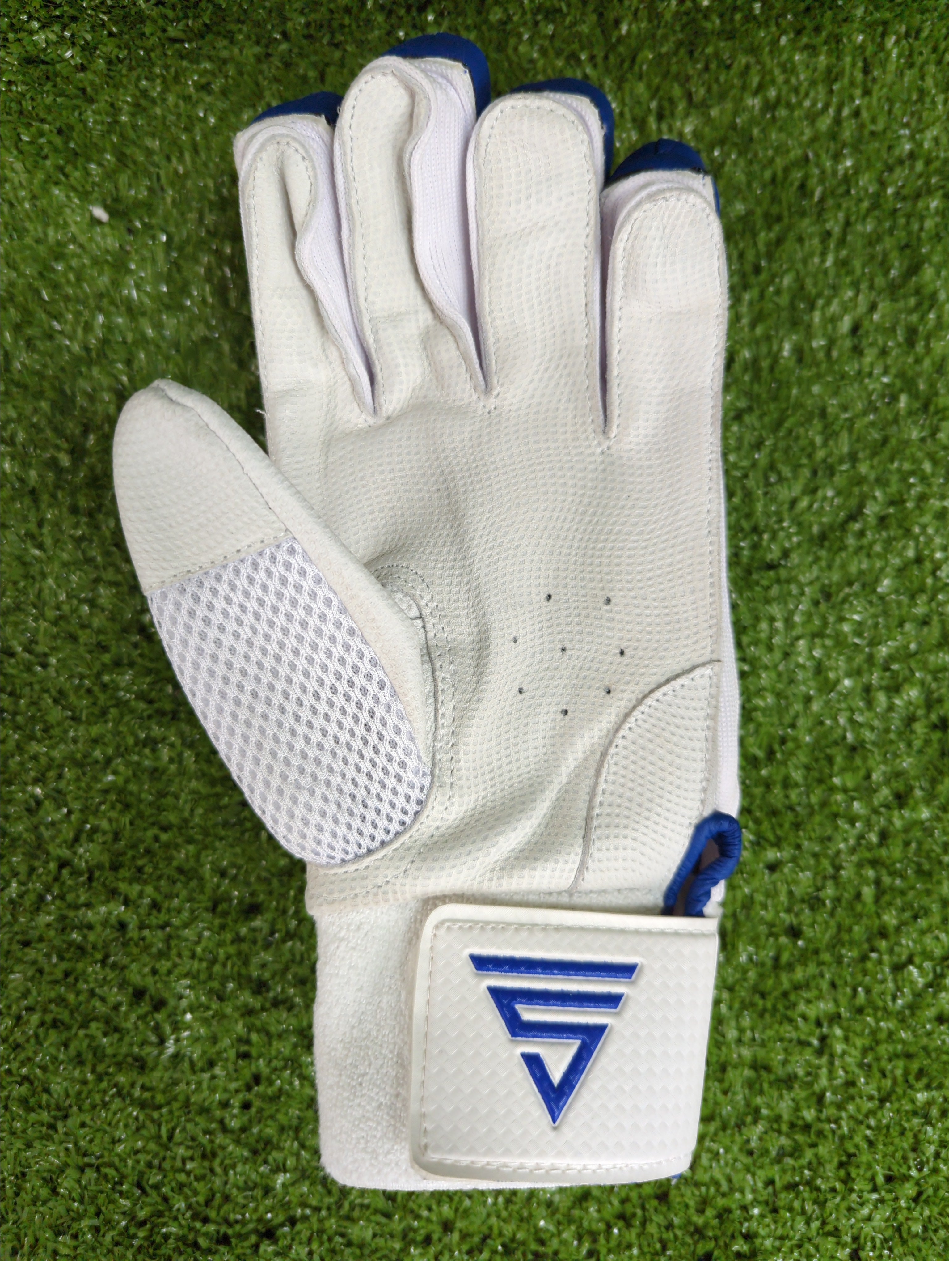 Versant Pro DG Pittard Cricket Batting Gloves Versant