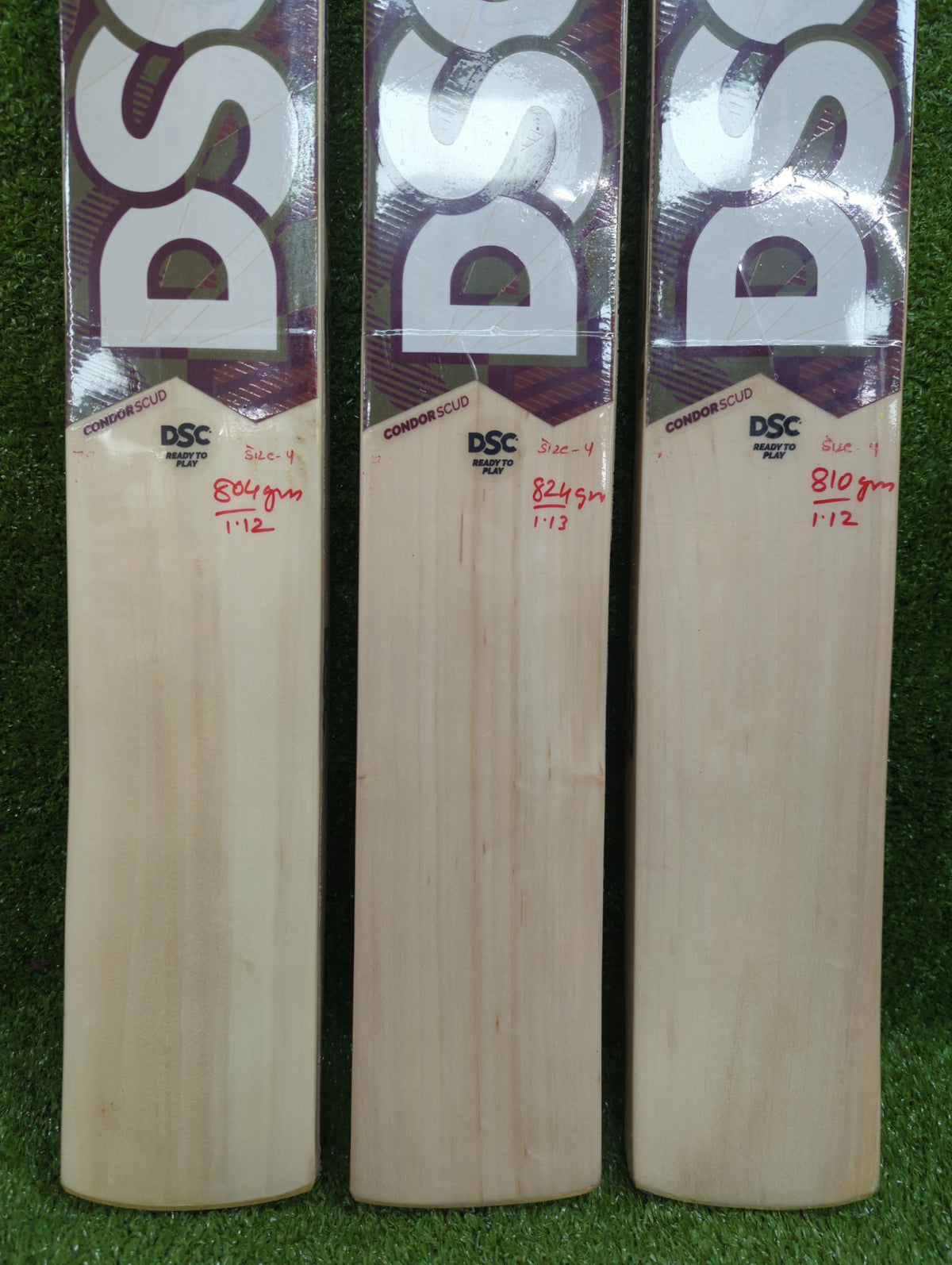 DSC Condor Scud Junior / Youth Kashmir Willow Cricket Bat DSC
