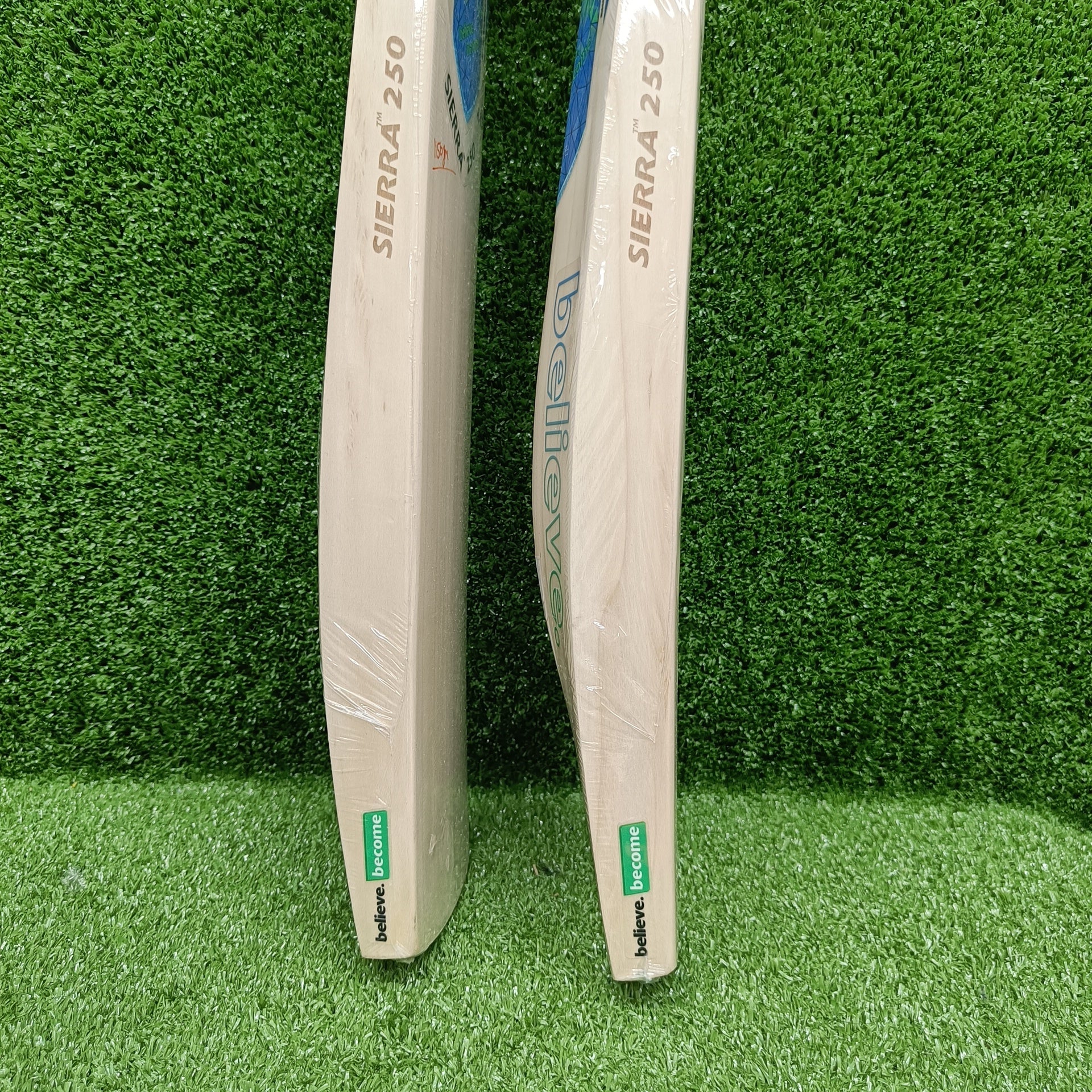 SG Sierra 250 English Willow Cricket Bat