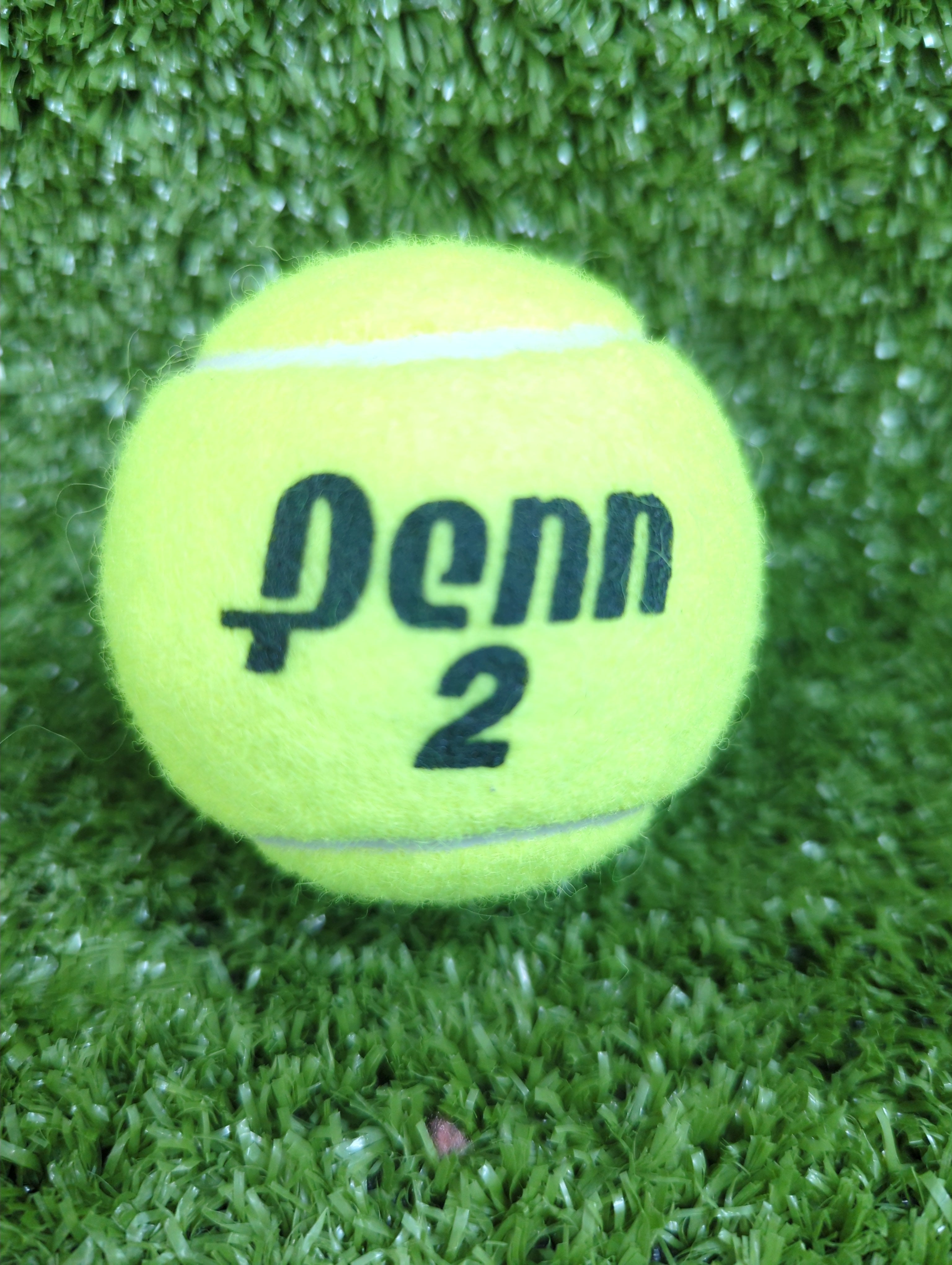 Penn Tennis Ball (Pack of 3)