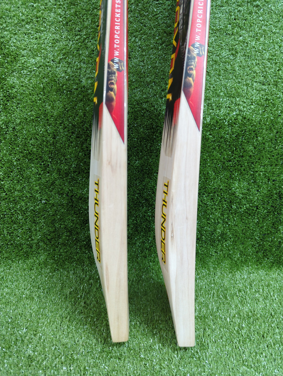 Raydn Thunder (Surya Kumar Yadav Profile) English Willow Light Weight Junior Bat Raydn