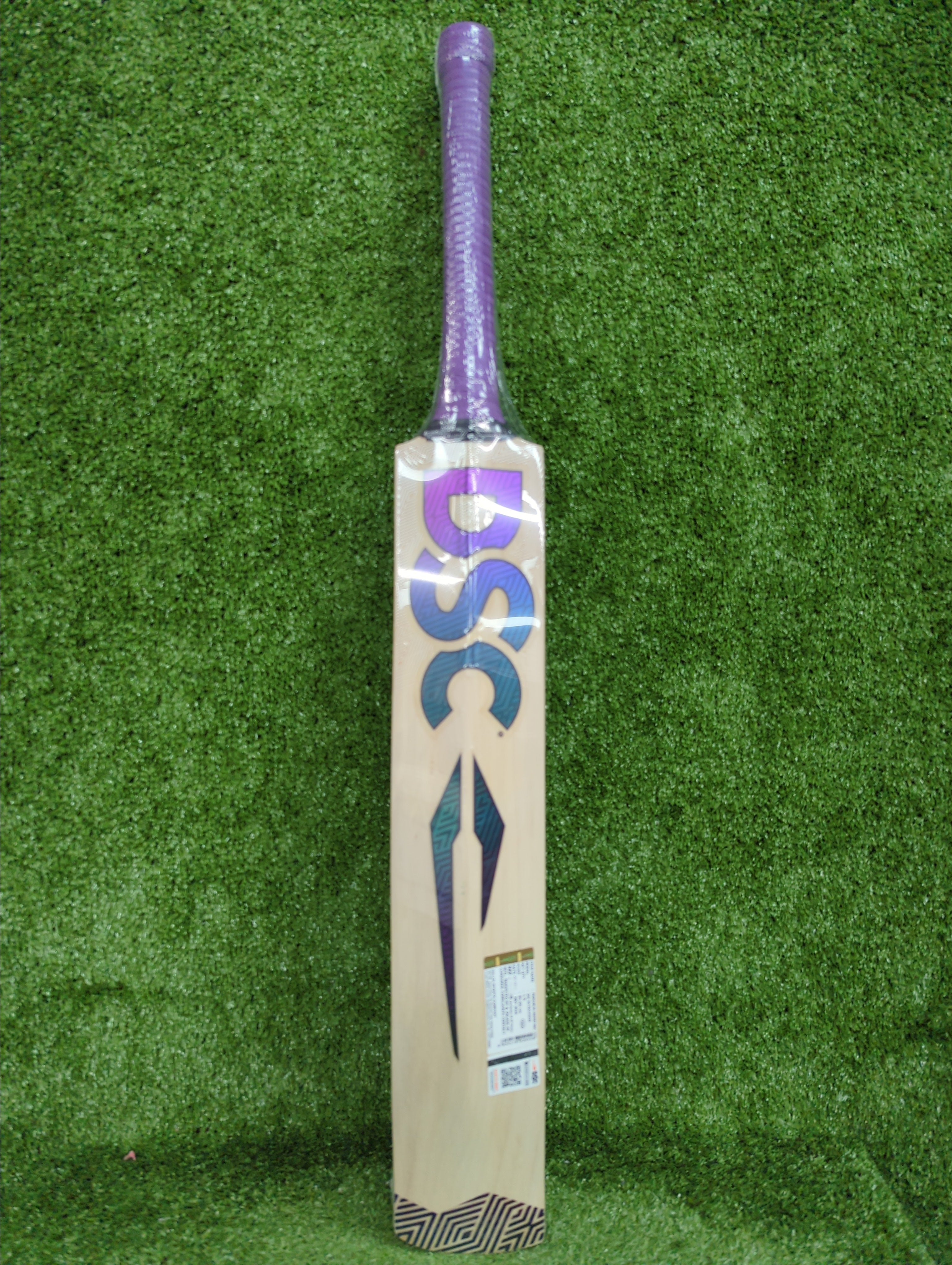 DSC RS Exclusiv Kashmir Willow Cricket Bat - Harrow DSC
