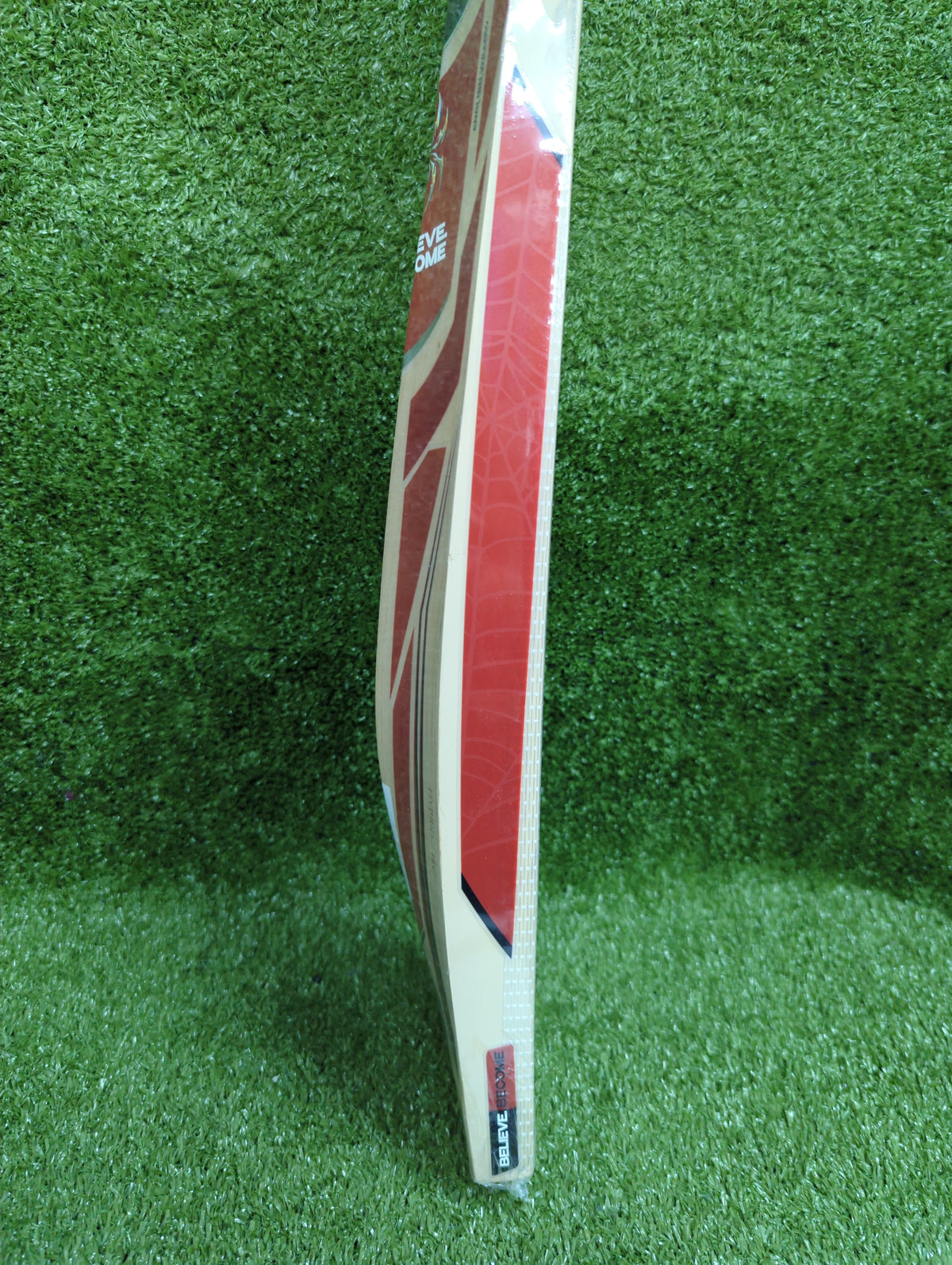 SG RP 150 English Willow Cricket Bat SG