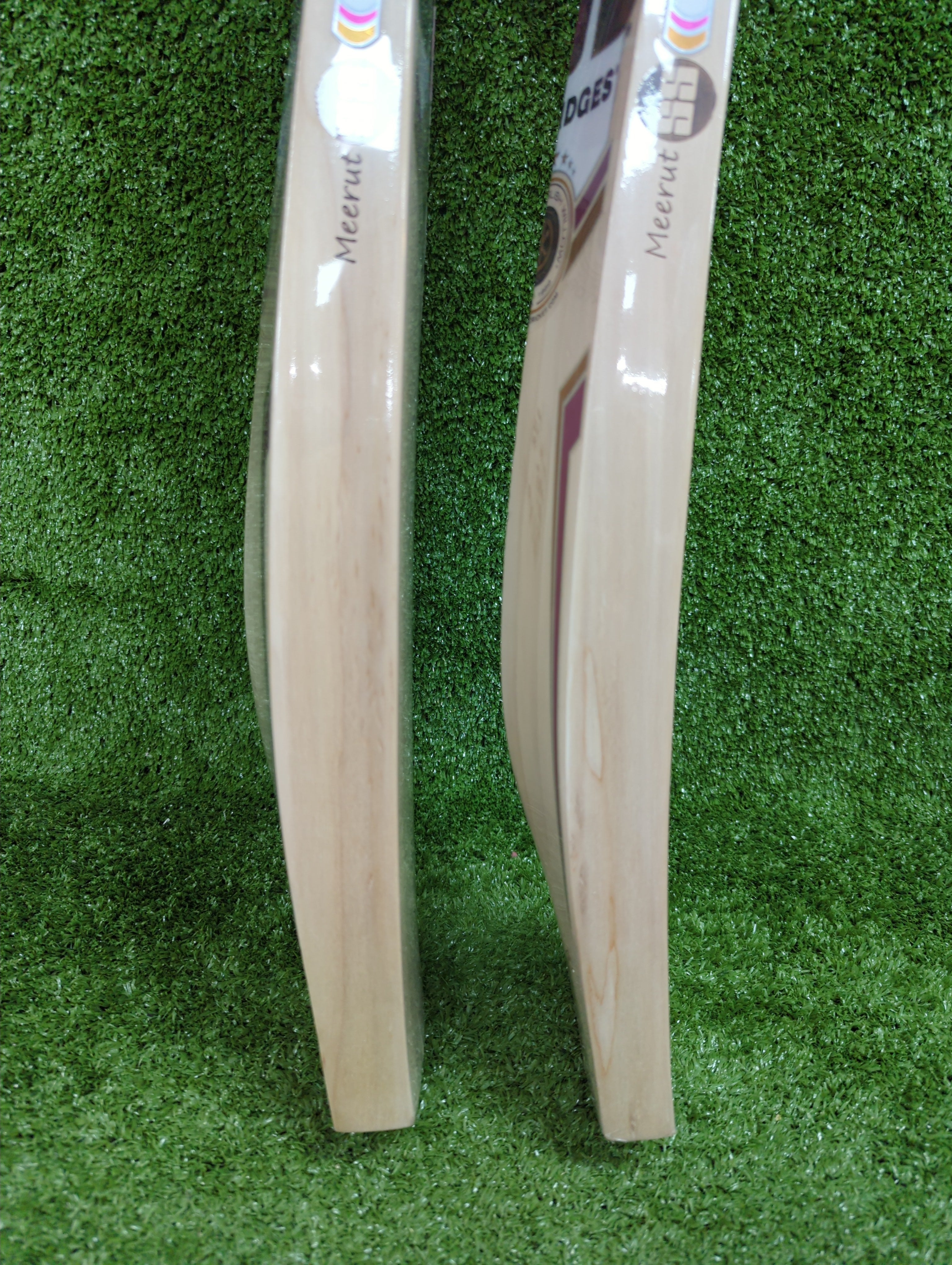 SS Gladiator English Willow Cricket Bat