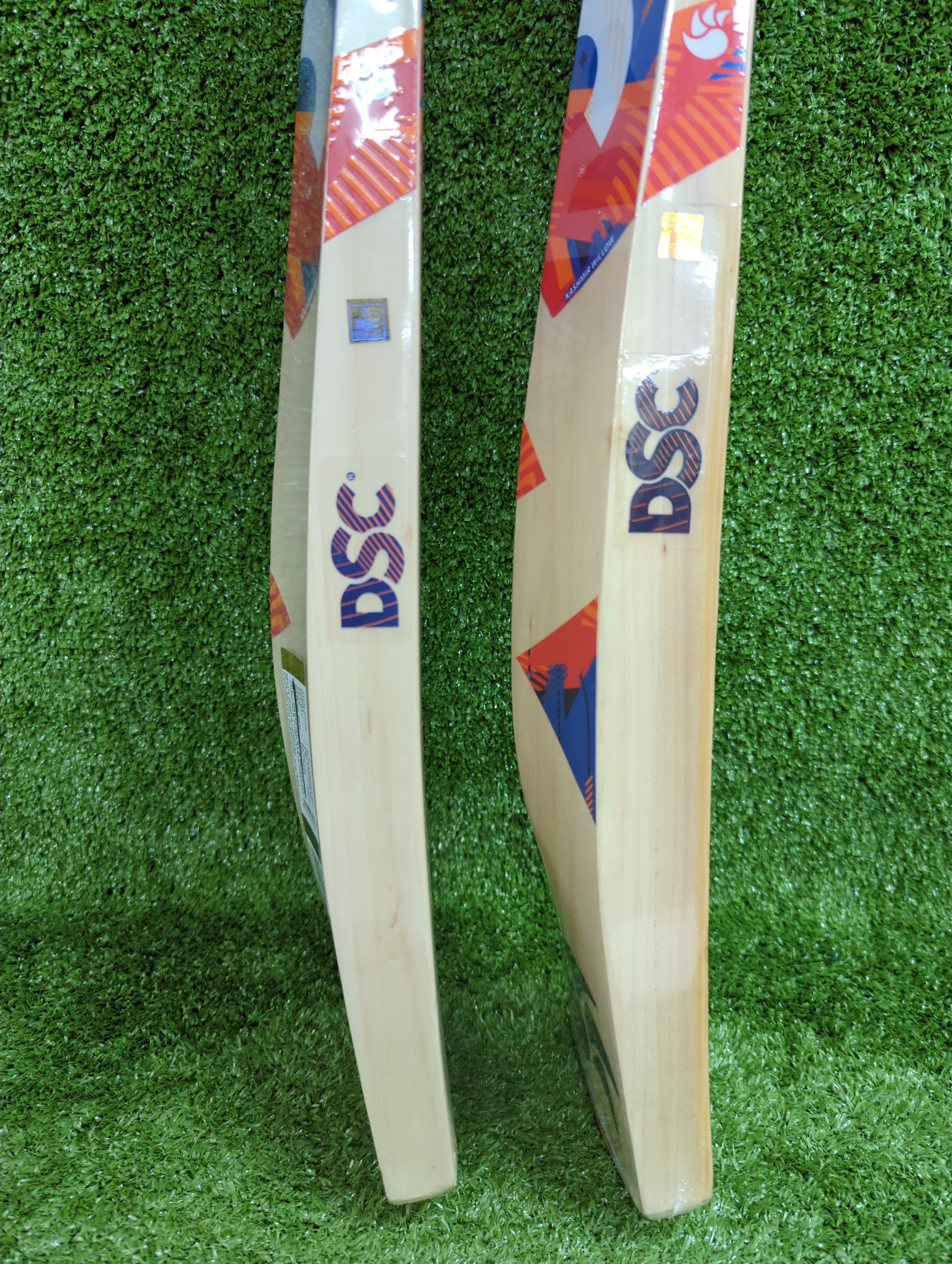 DSC Krunch 66 Kashmir Willow Cricket Bat by DSC - close-up detail - TopCricketStore