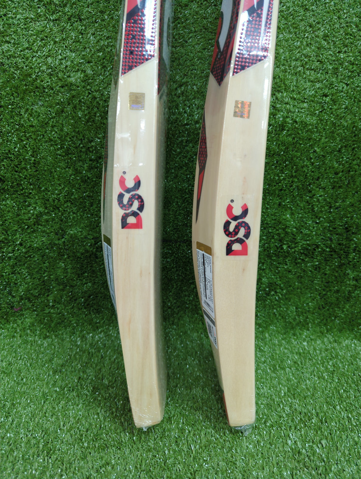 DSC Intense Zeal Junior / Youth Kashmir Willow Cricket Bat DSC